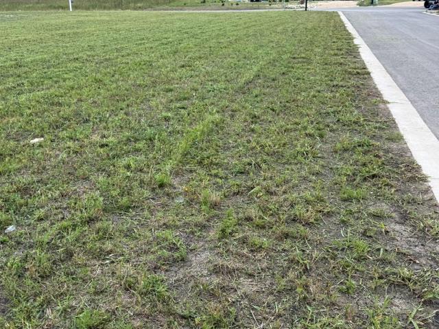 1178 Saltgrass Dr, Salado, TX 76571