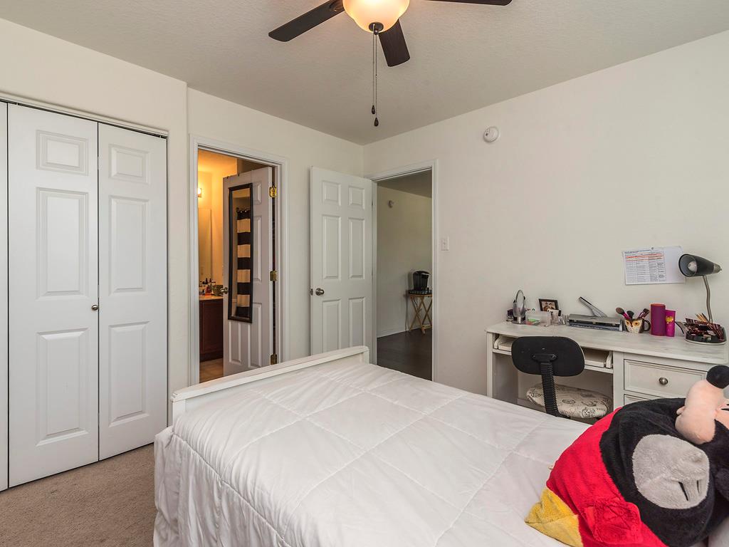 248 Trestle Tree # AB, San Marcos, TX 78666