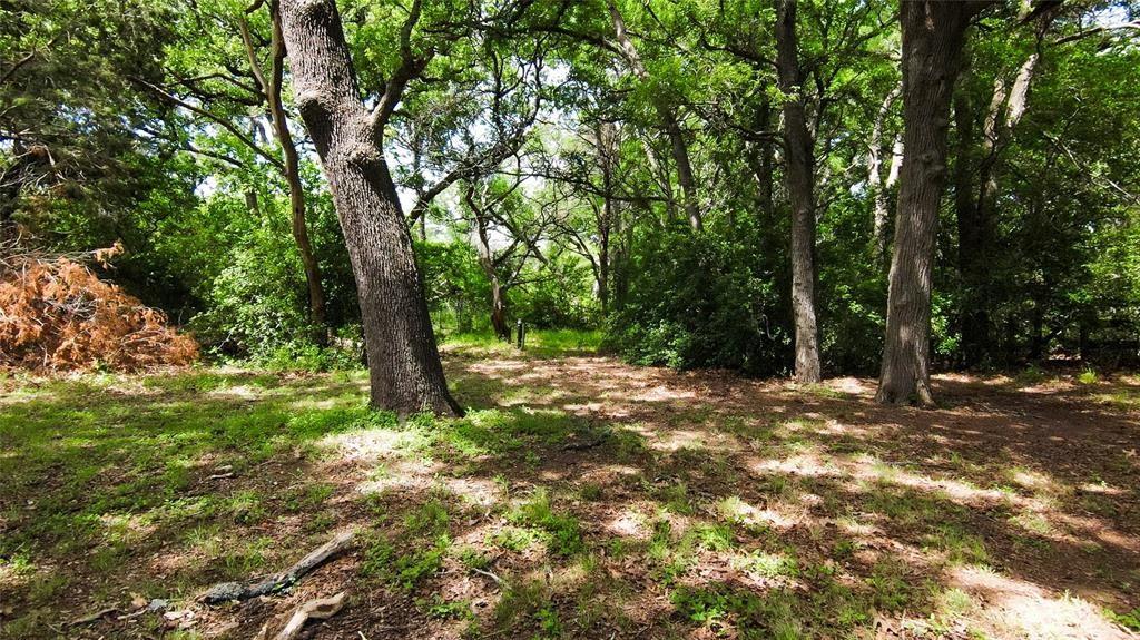 269 Balch Rd, Elgin, TX 78621