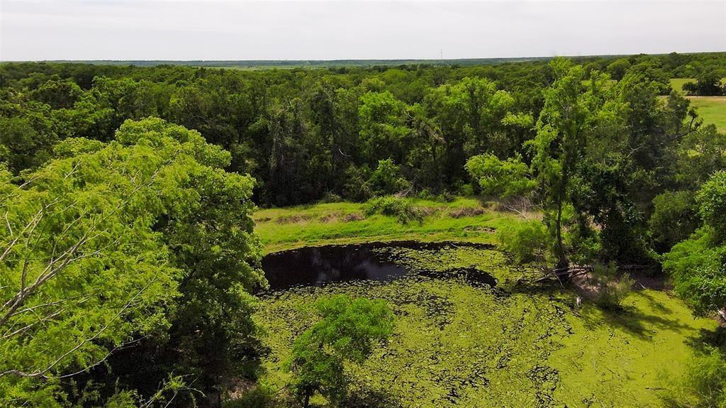 269 Balch Rd, Elgin, TX 78621