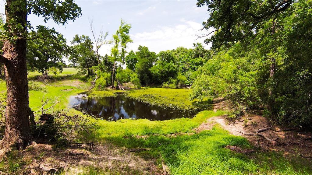 269 Balch Rd, Elgin, TX 78621
