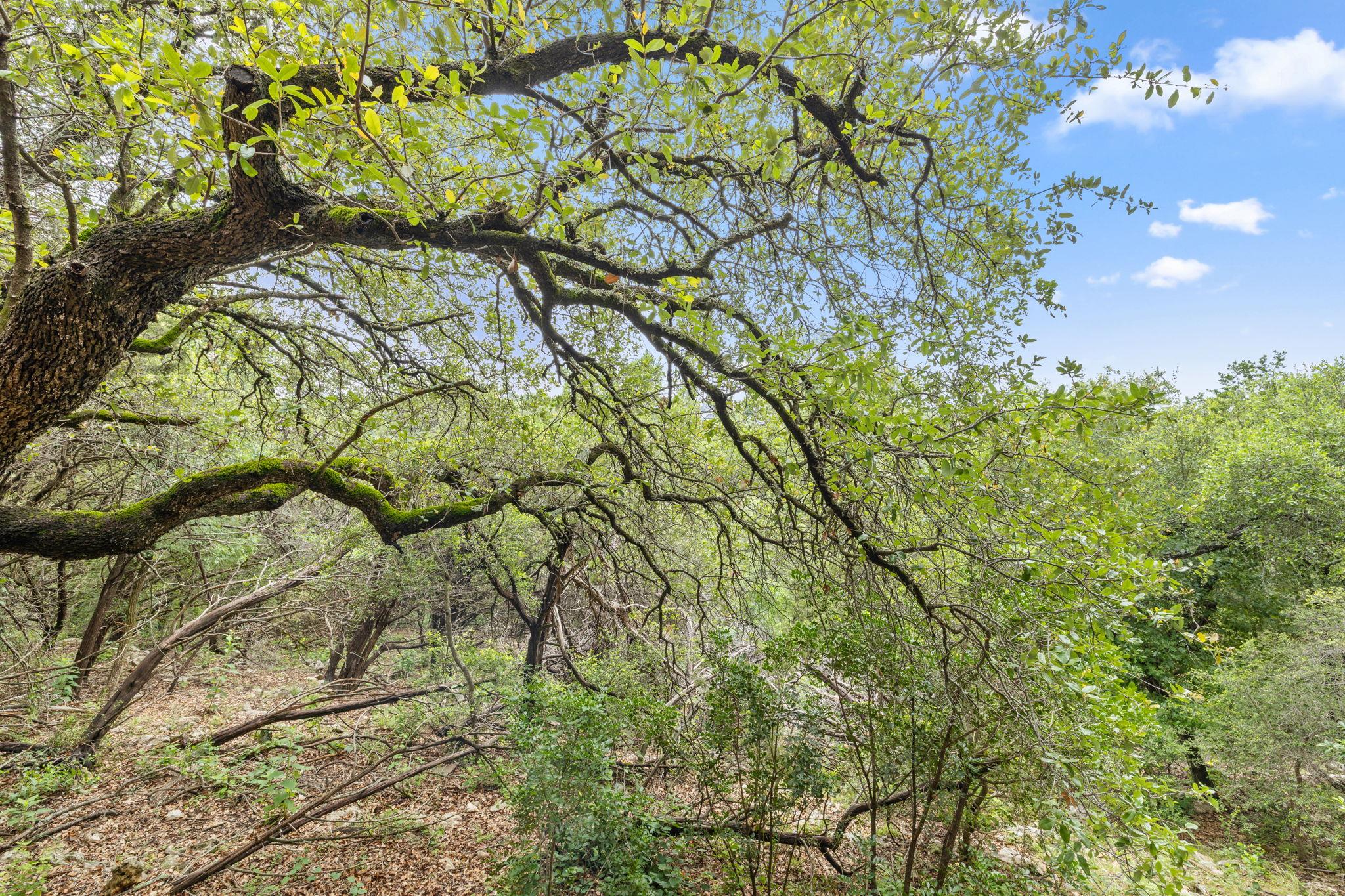 4711 Spicewood Springs Rd # 5-128, Austin, TX 78759