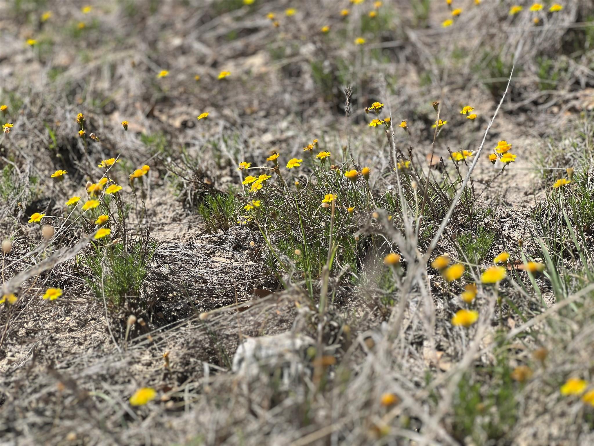 Lot 24 Private Road 3643, Copperas Cove, TX 76522