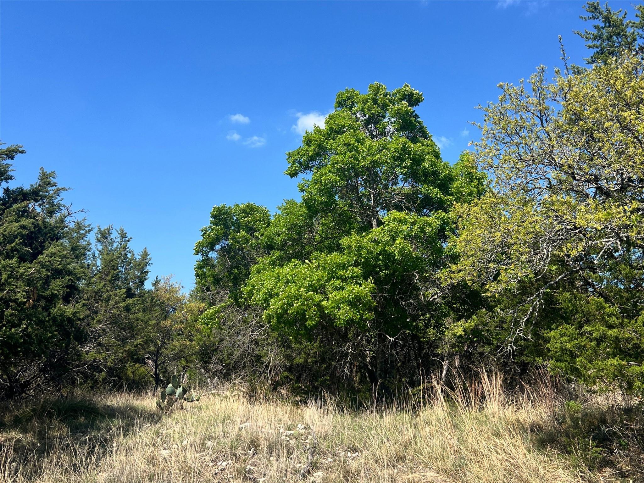 Lot 24 Private Road 3643, Copperas Cove, TX 76522