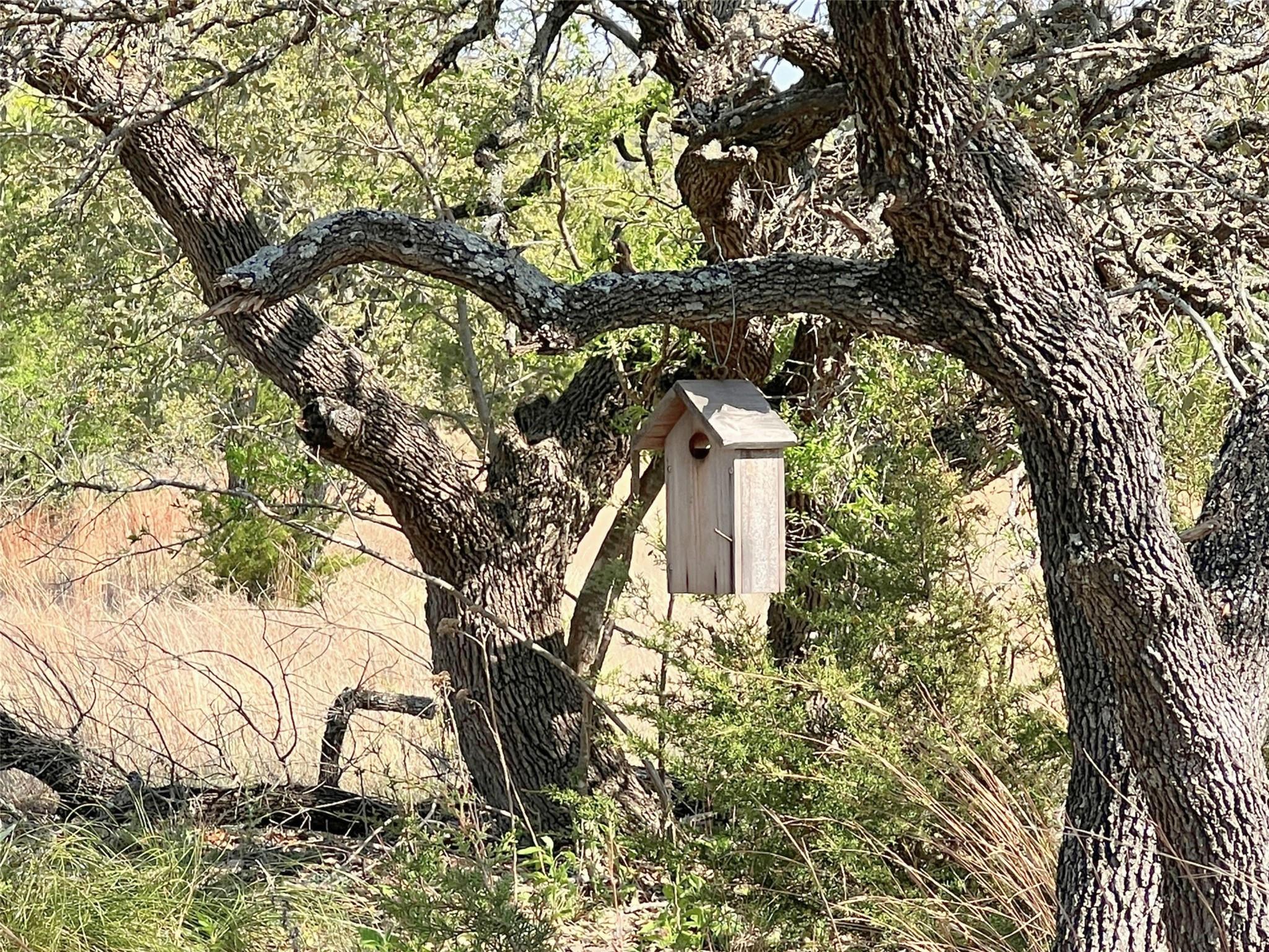 Lot 24 Private Road 3643, Copperas Cove, TX 76522