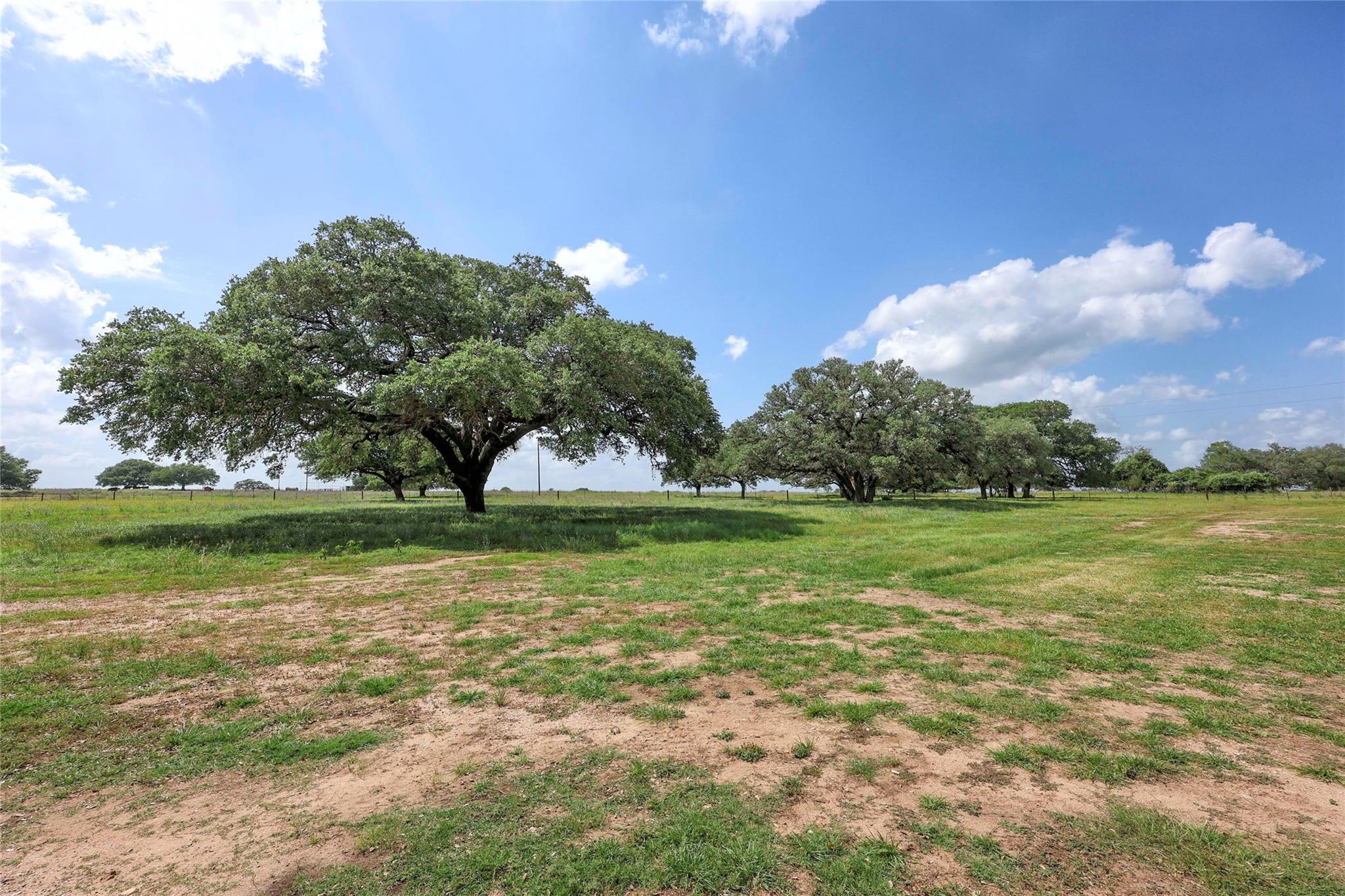1276 County Road 216, Hallettsville, TX 77964