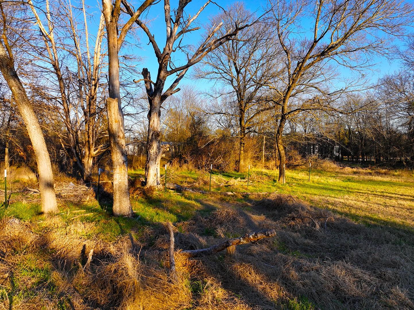 TBD COUNTY ROAD 3114, Dawson, TX 76679