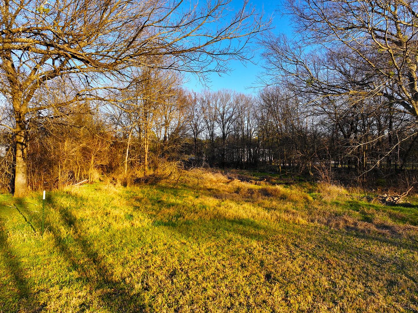 TBD COUNTY ROAD 3114, Dawson, TX 76679