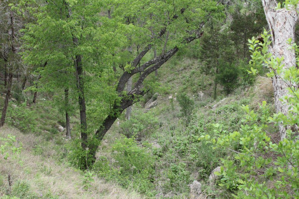 5135 Lookout Ridge Dr, Marble Falls, TX 78654