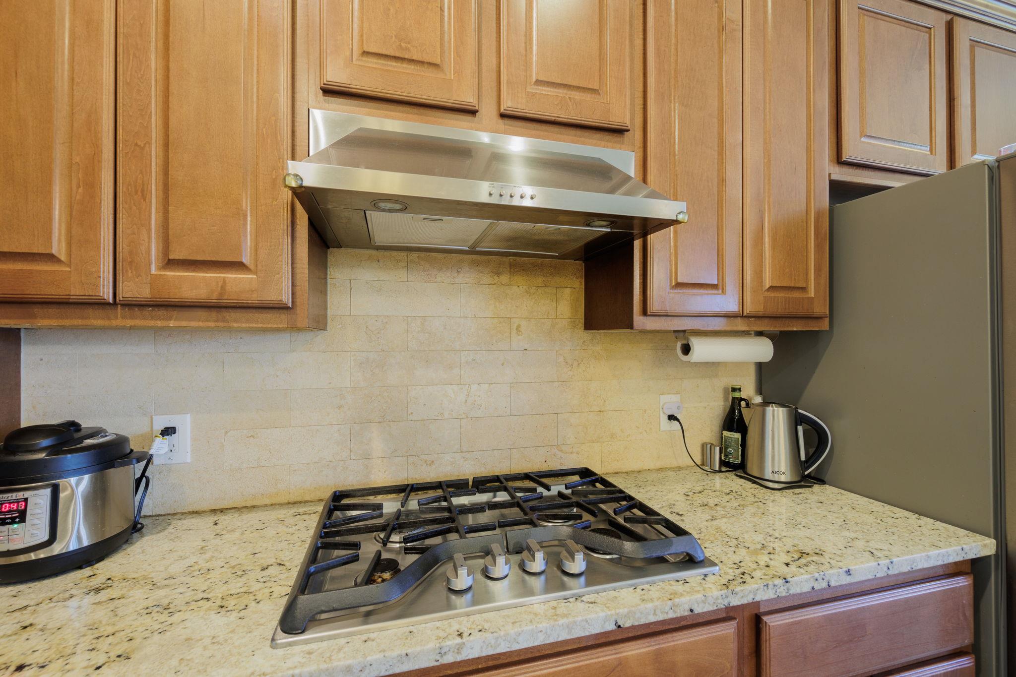 231 Saint Richie Ln, Austin, TX 78737