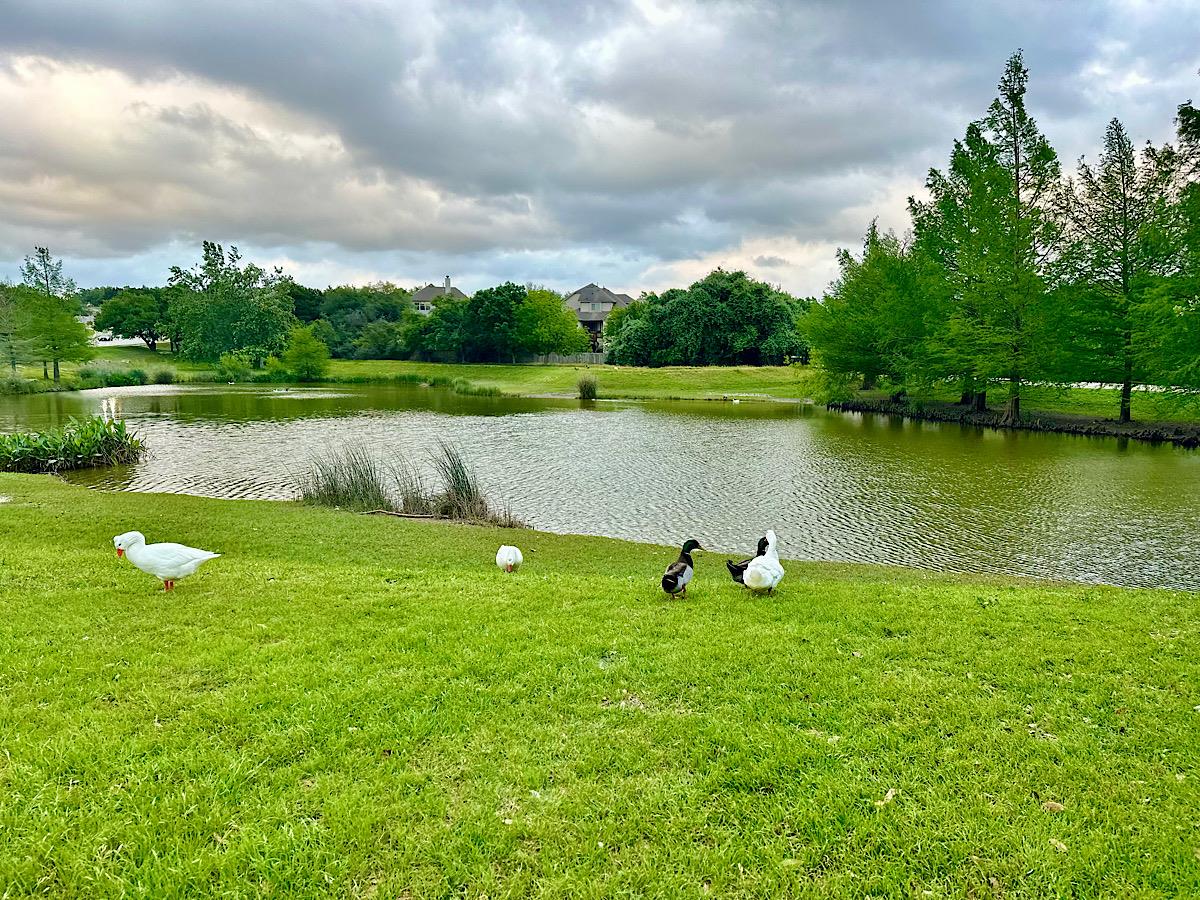 231 Saint Richie Ln, Austin, TX 78737