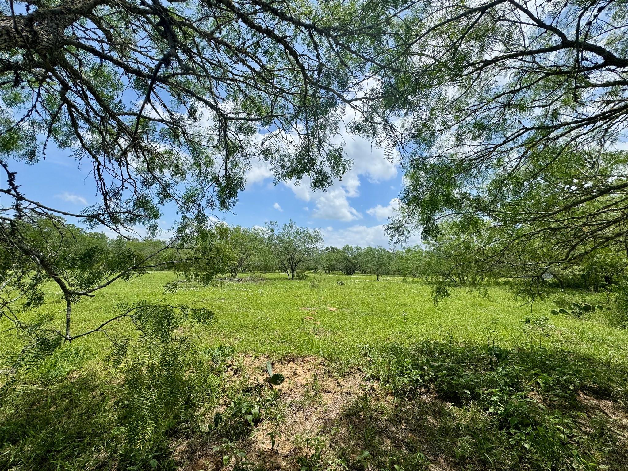 0 Batey Rd, Nixon, TX 78140