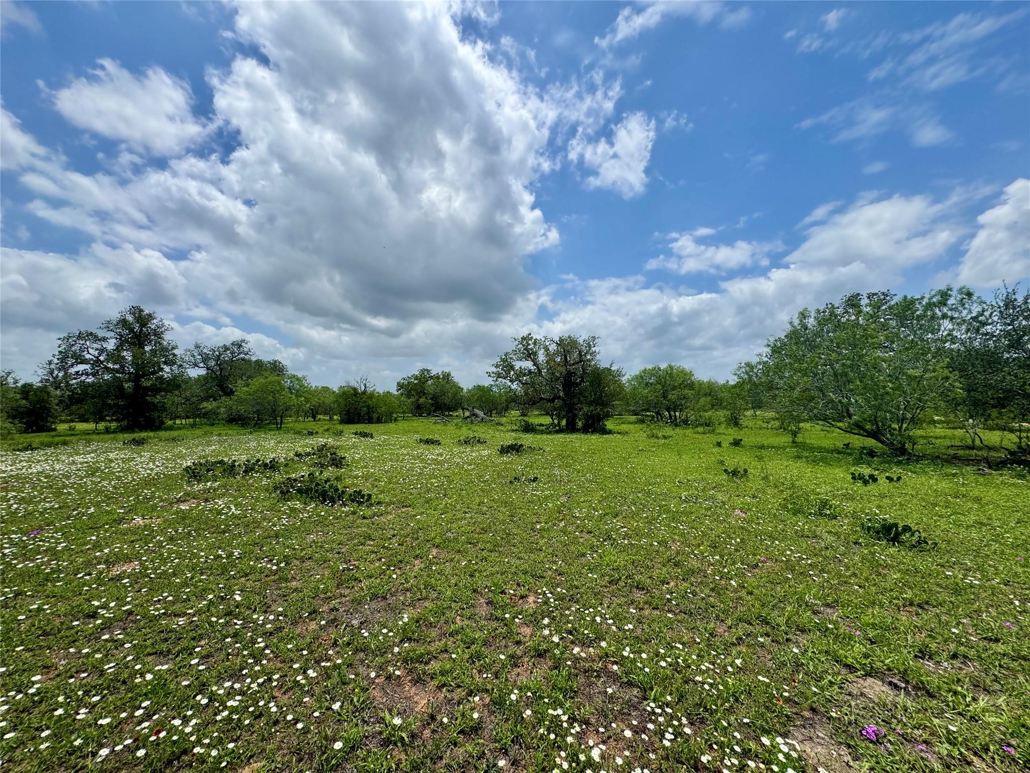 0 Batey Rd, Nixon, TX 78140