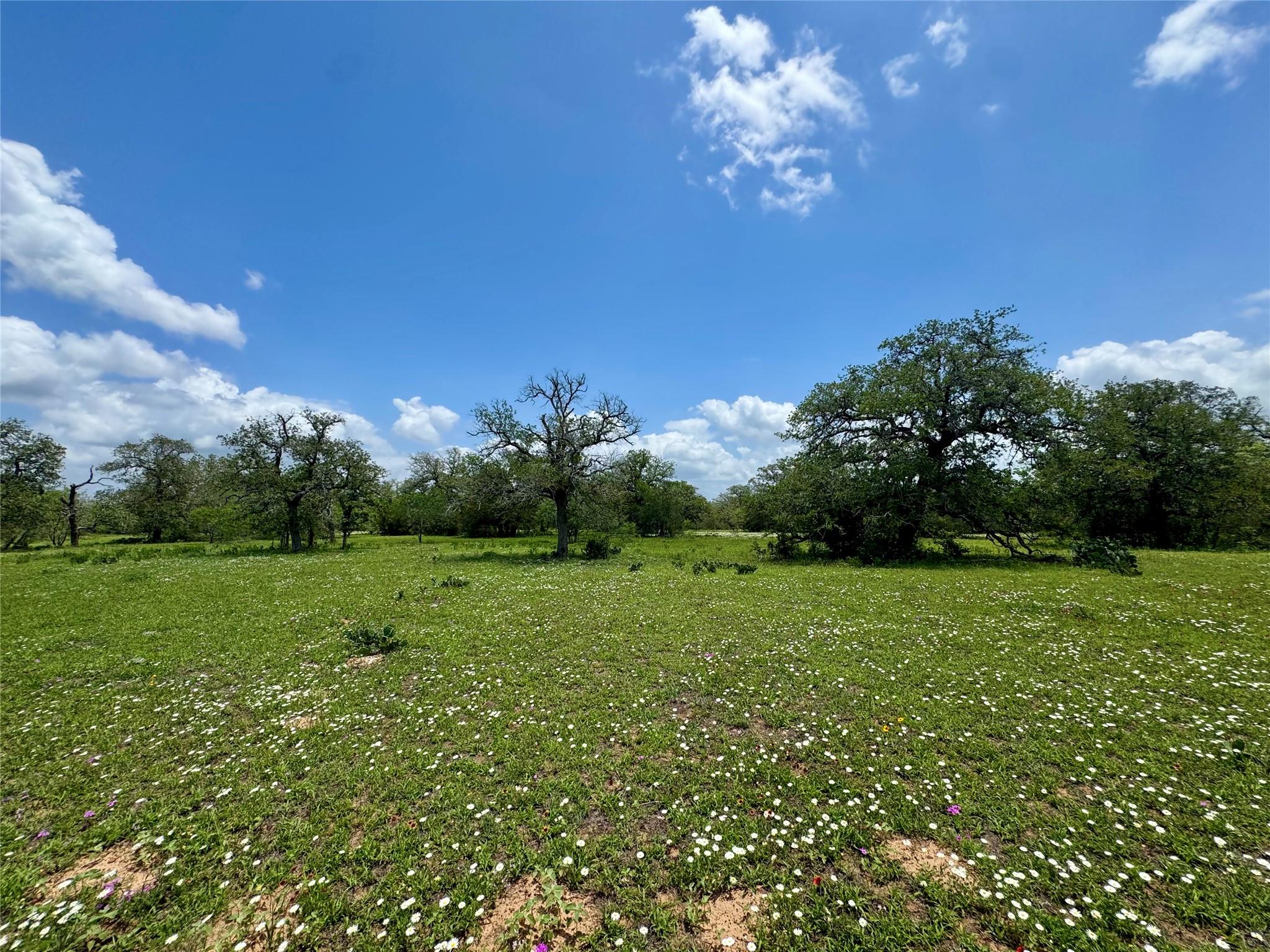0 Batey Rd, Nixon, TX 78140