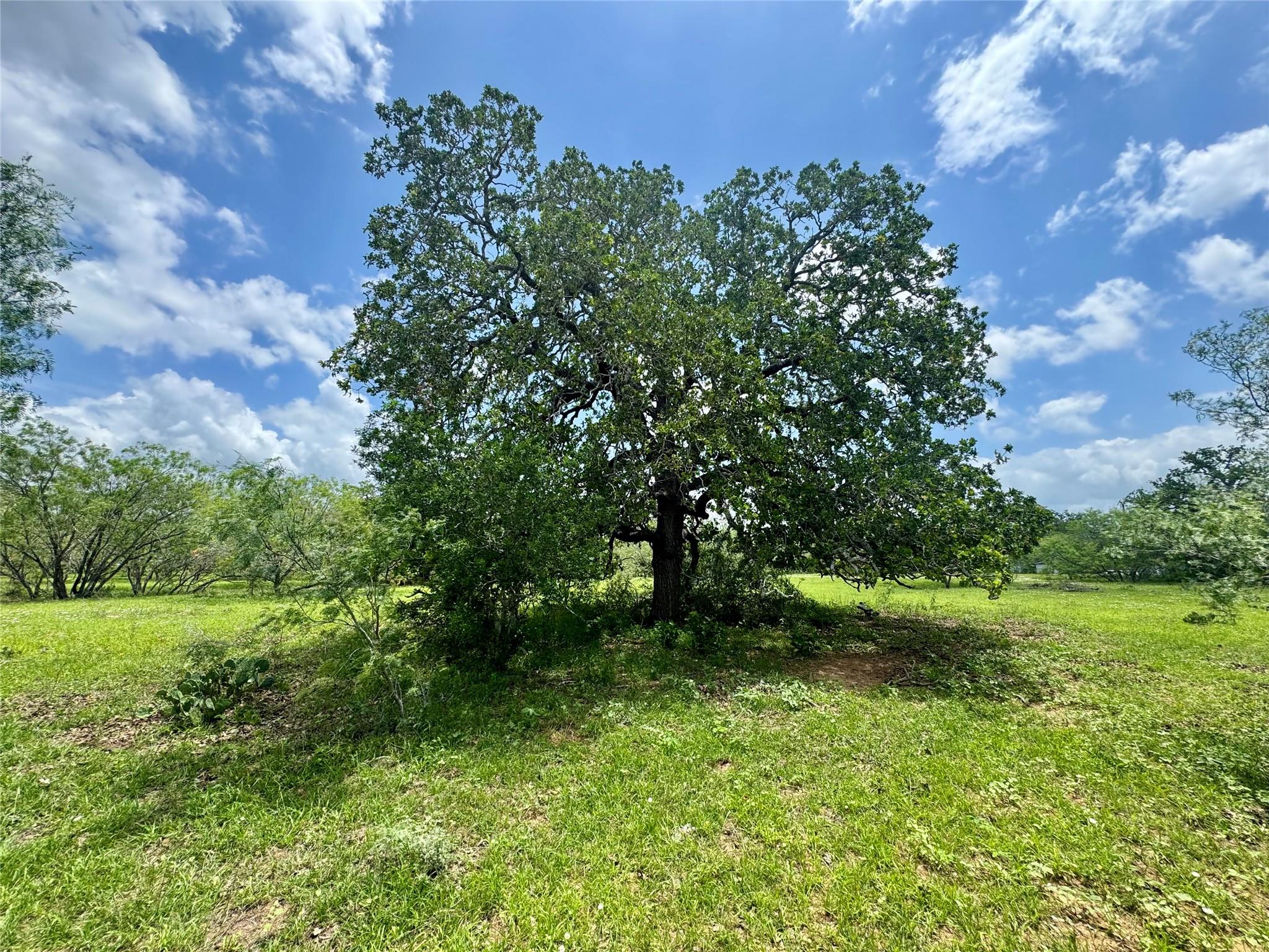 0 Batey Rd, Nixon, TX 78140
