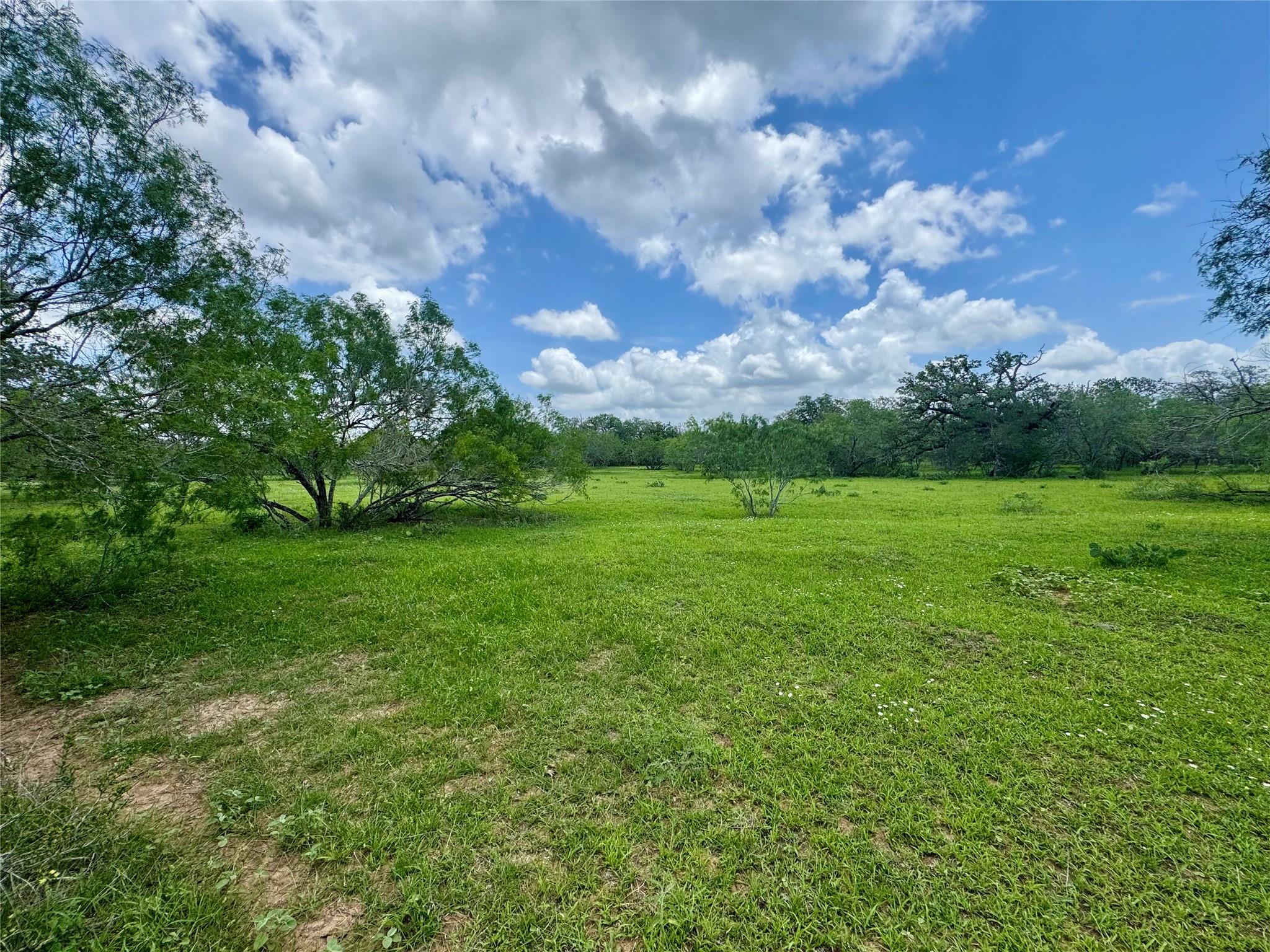 0 Batey Rd, Nixon, TX 78140