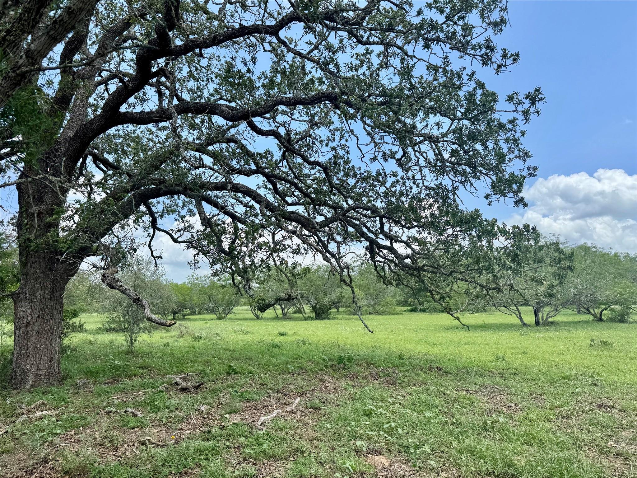 0 Batey Rd, Nixon, TX 78140