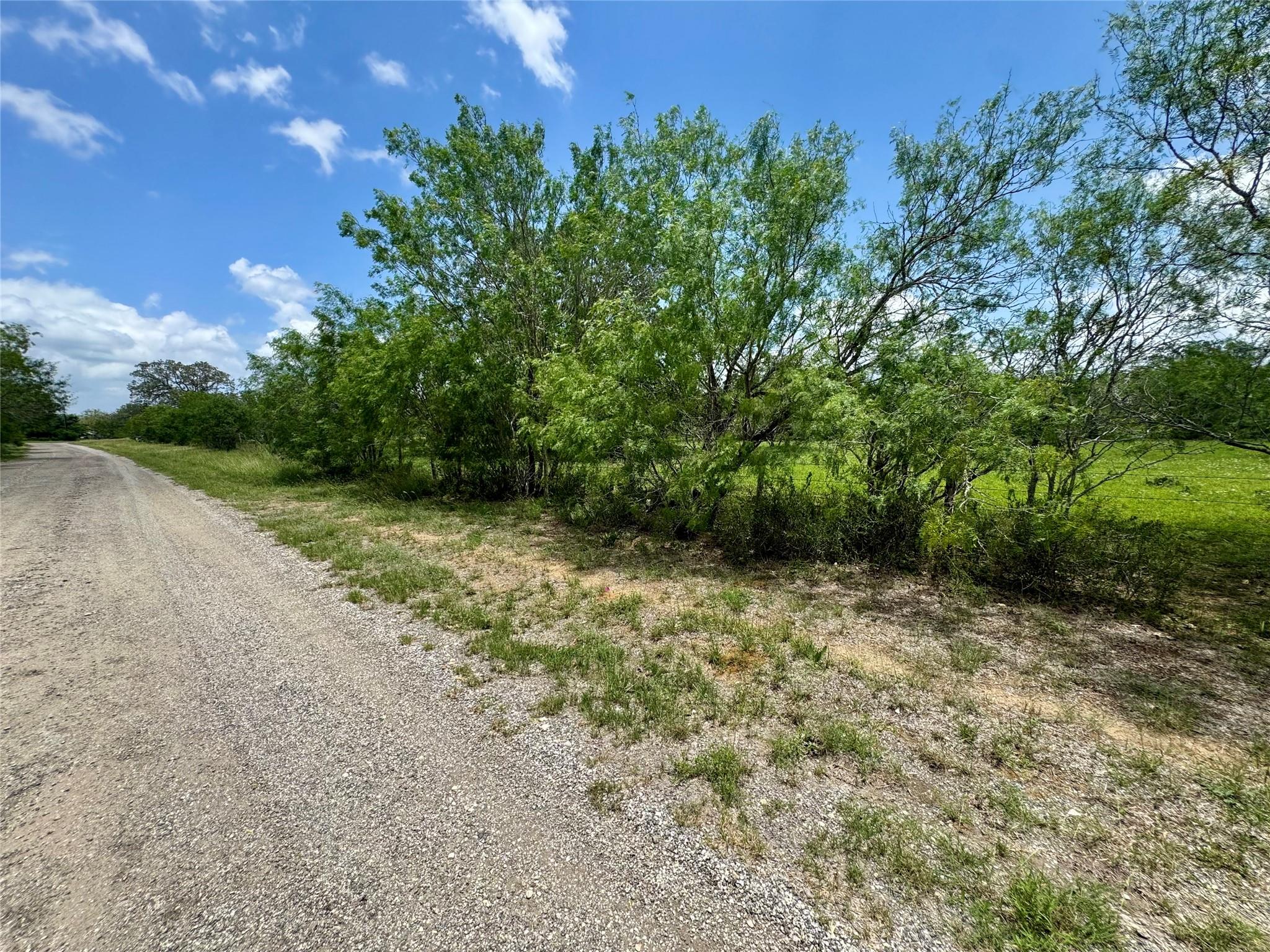 0 Batey Rd, Nixon, TX 78140