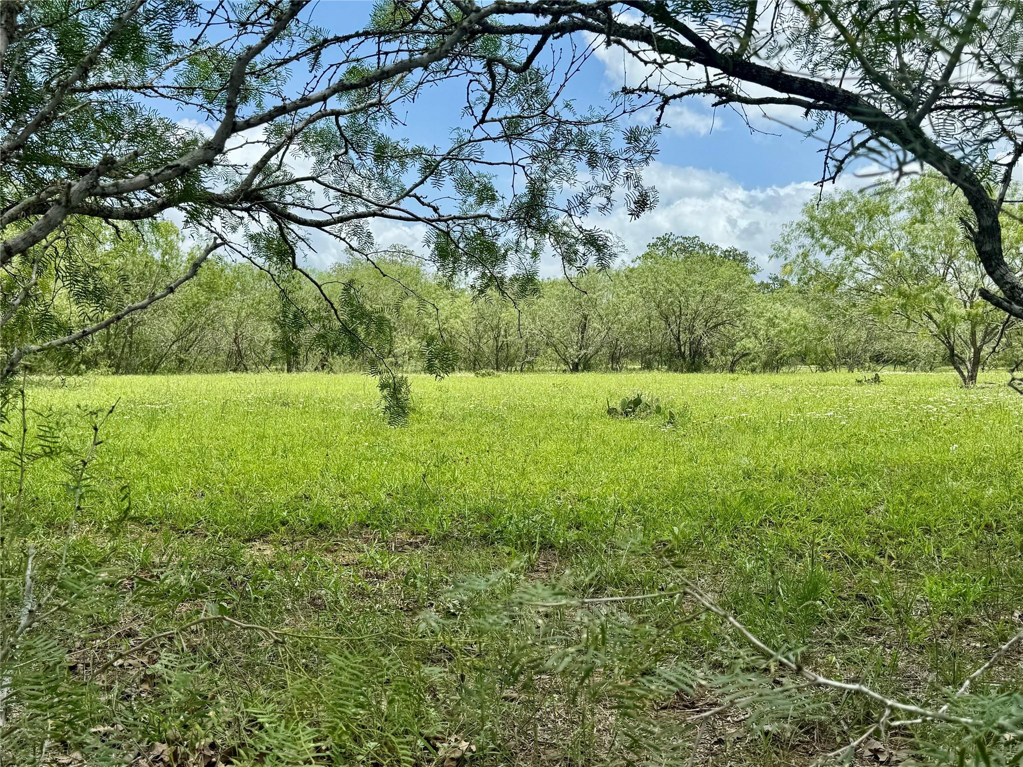 0 Batey Rd, Nixon, TX 78140