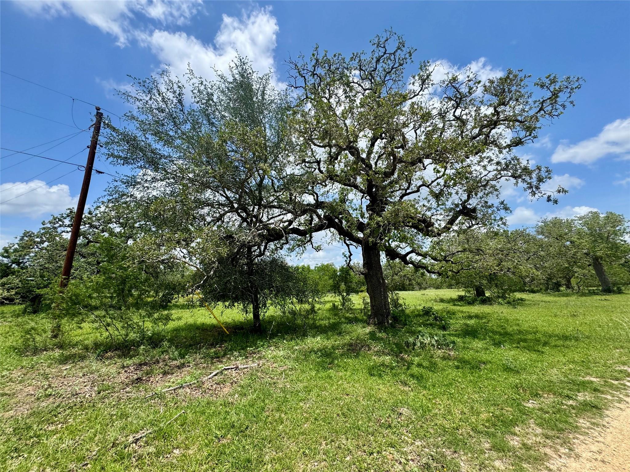 0 Batey Rd, Nixon, TX 78140