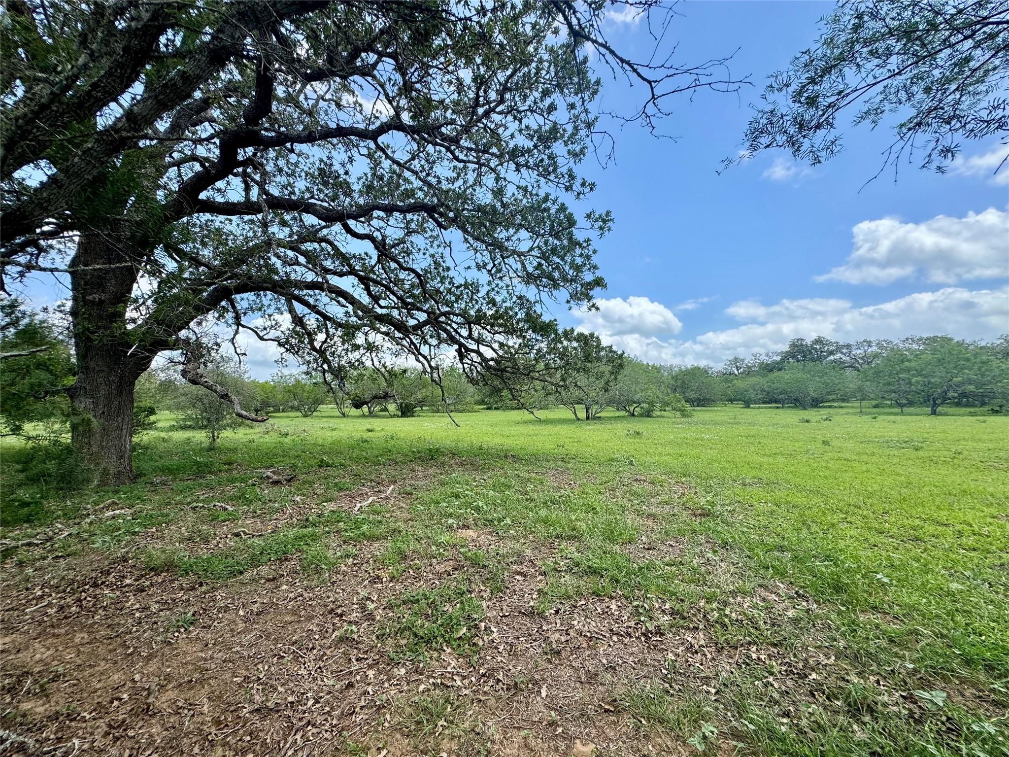 0 Batey Rd, Nixon, TX 78140
