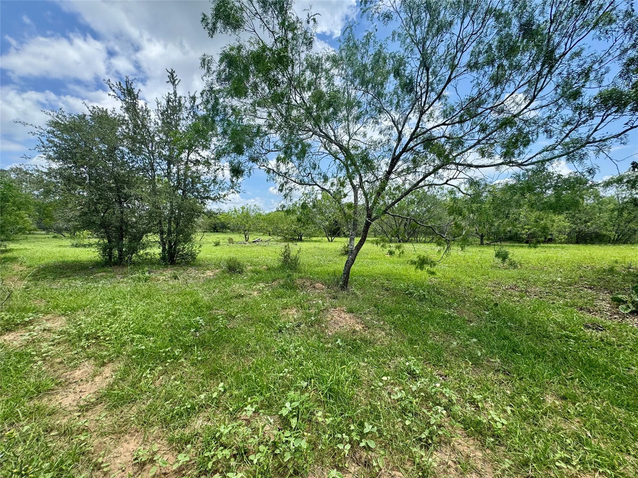 0 Batey Rd, Nixon, TX 78140