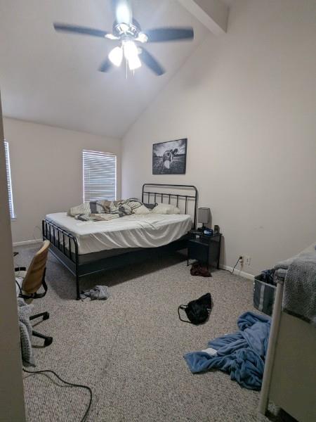 505 Bellevue Pl # 7, Austin, TX 78705
