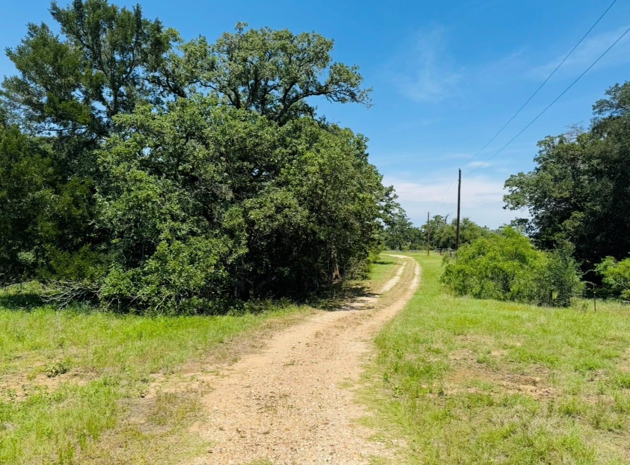 1294 Private Road 7037, Lexington, TX 78947