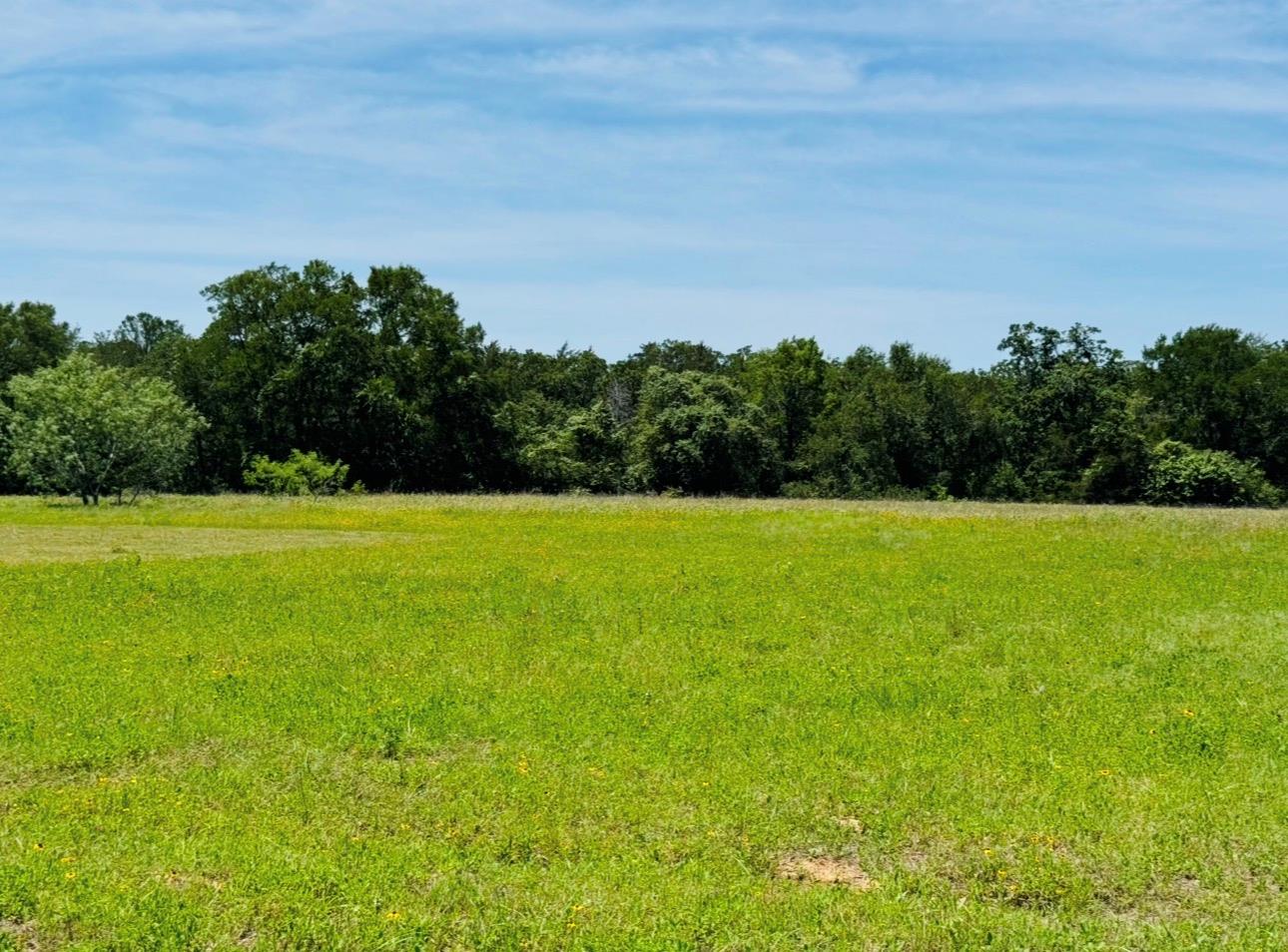 1294 Private Road 7037, Lexington, TX 78947