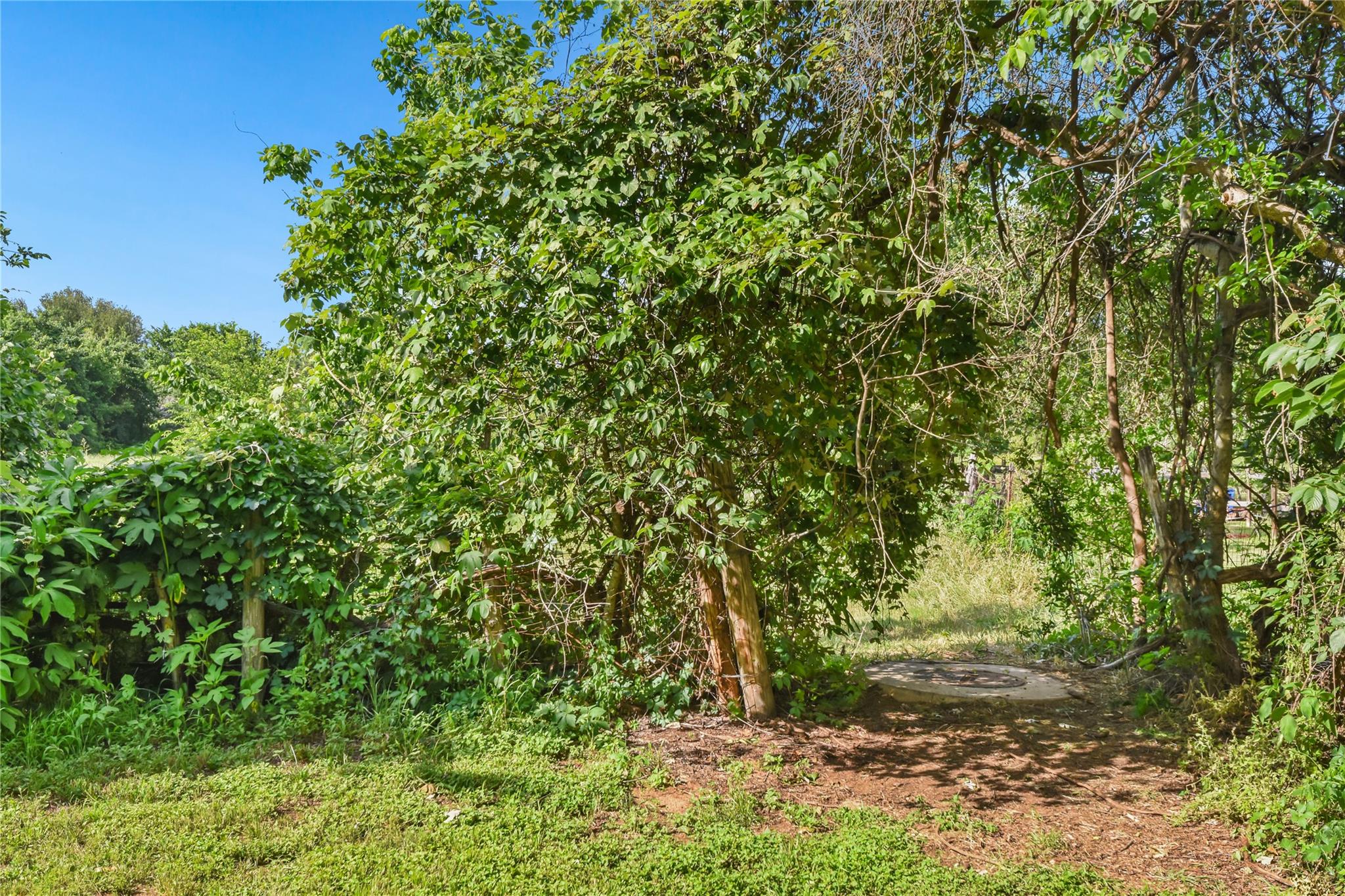 528 Old Mcdade Rd, Elgin, TX 78621