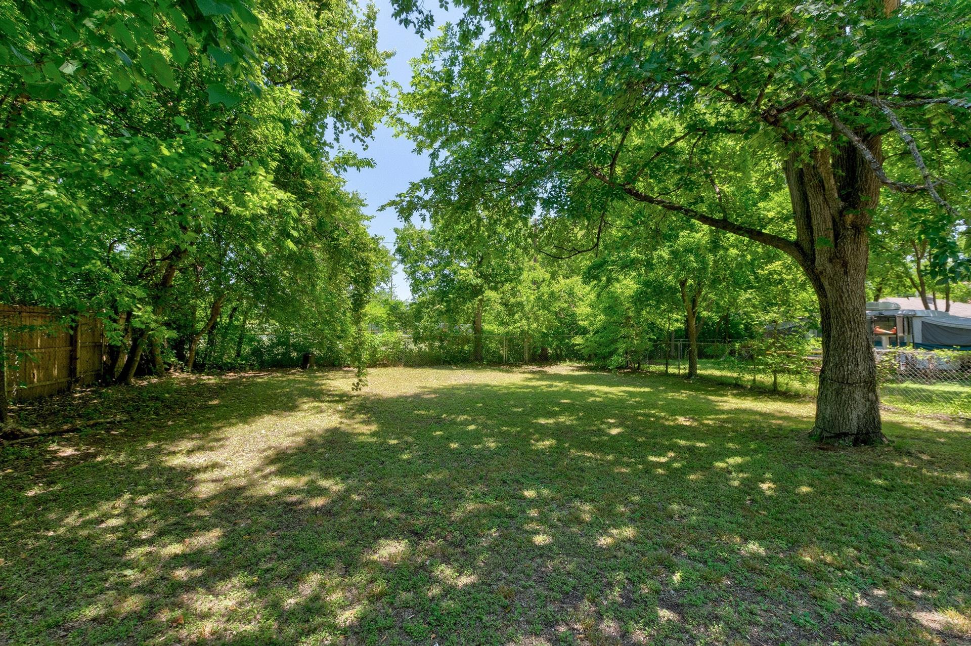 5406 Bolm Rd, Austin, TX 78721
