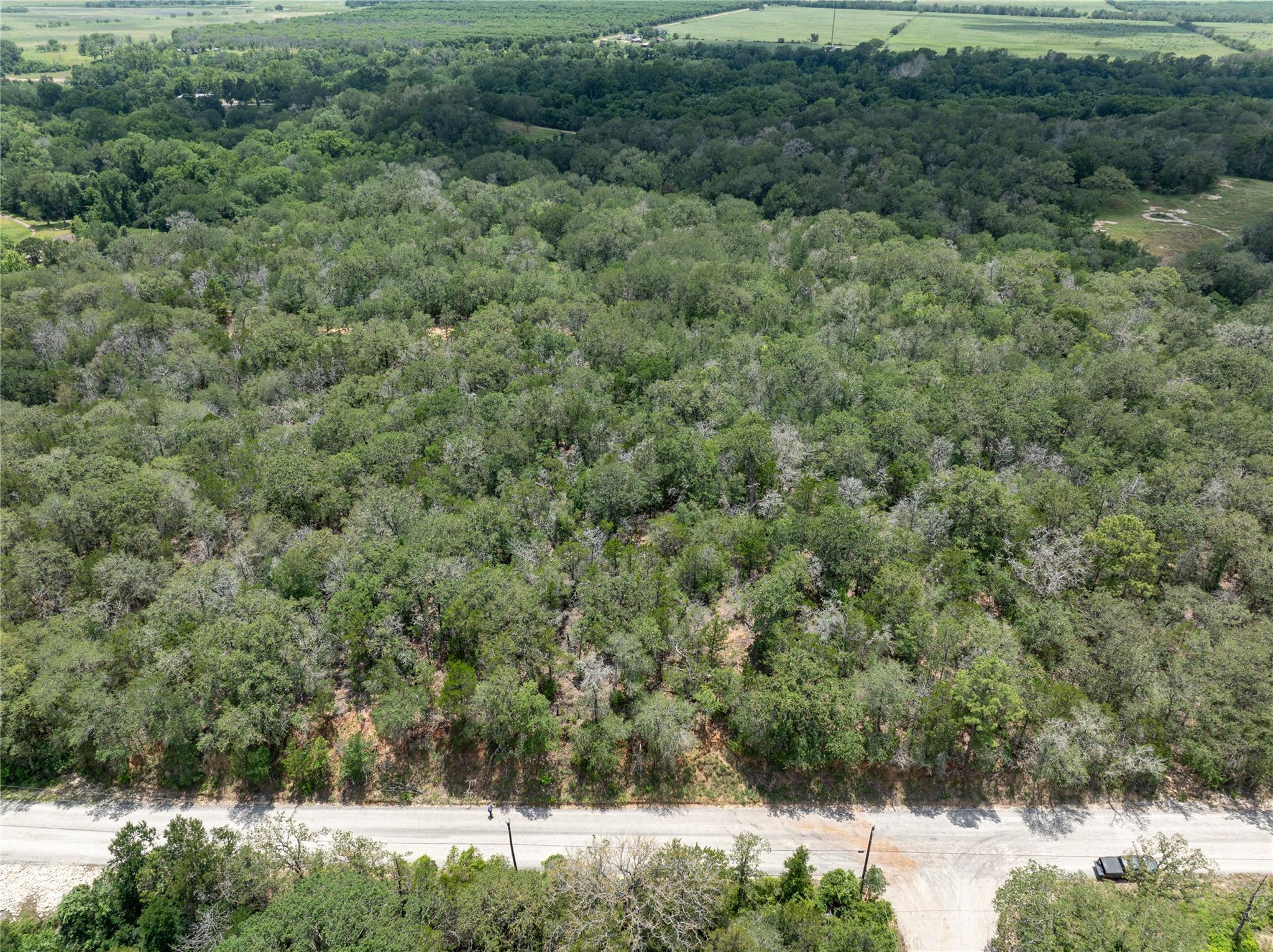 169 Kaaawa Ln, Bastrop, TX 78602