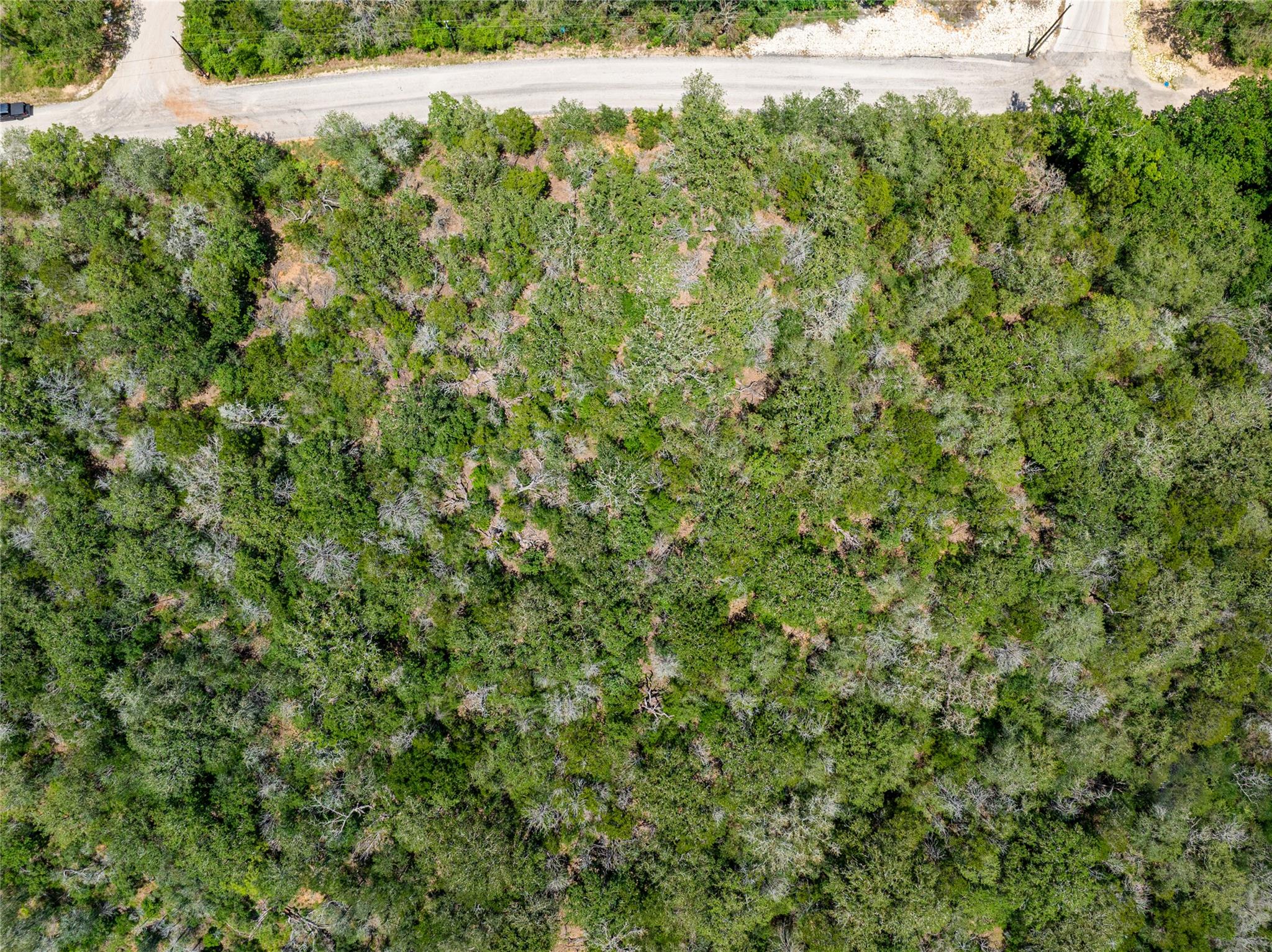 169 Kaaawa Ln, Bastrop, TX 78602