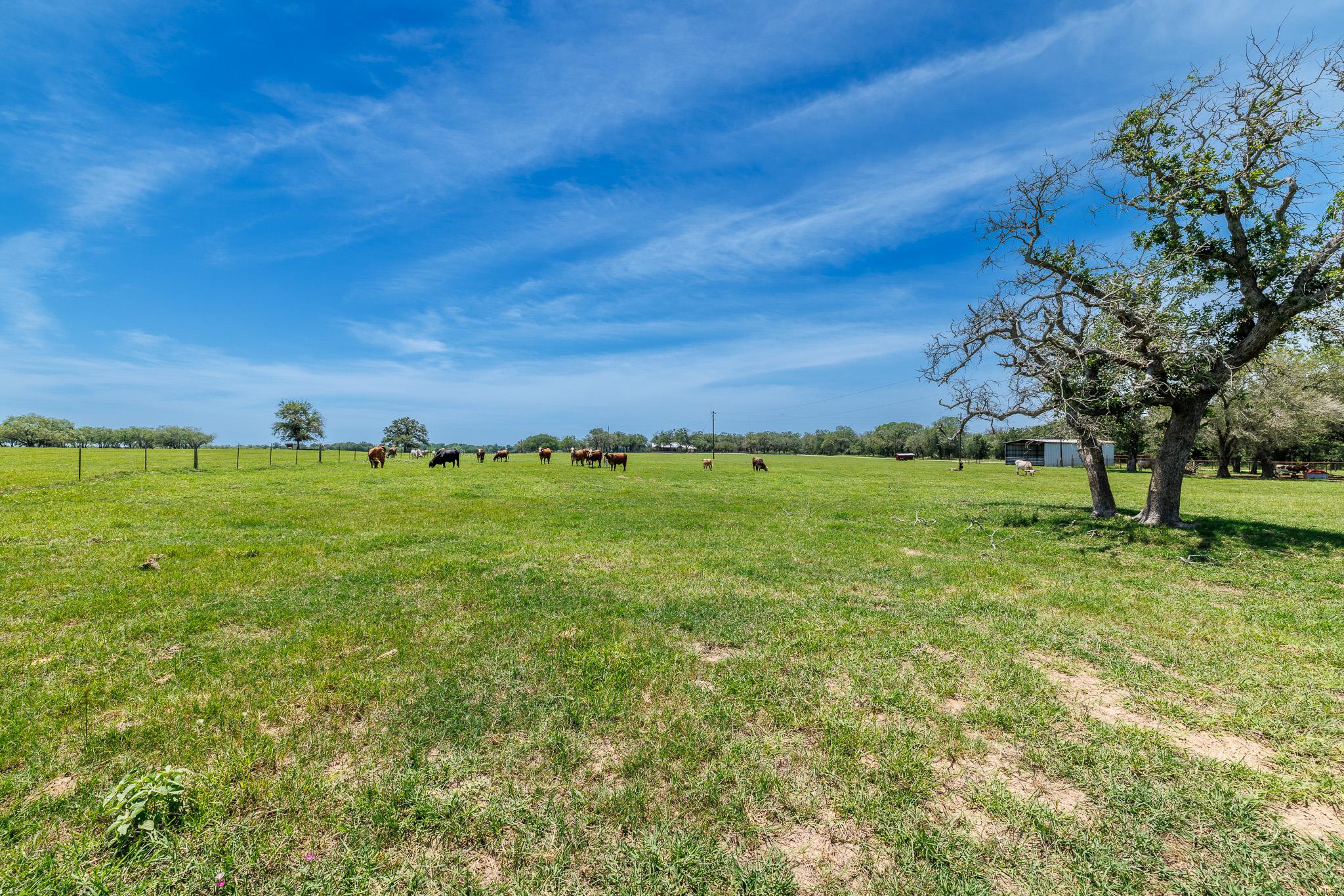 605 Fm 1682, Leesville, TX 78122