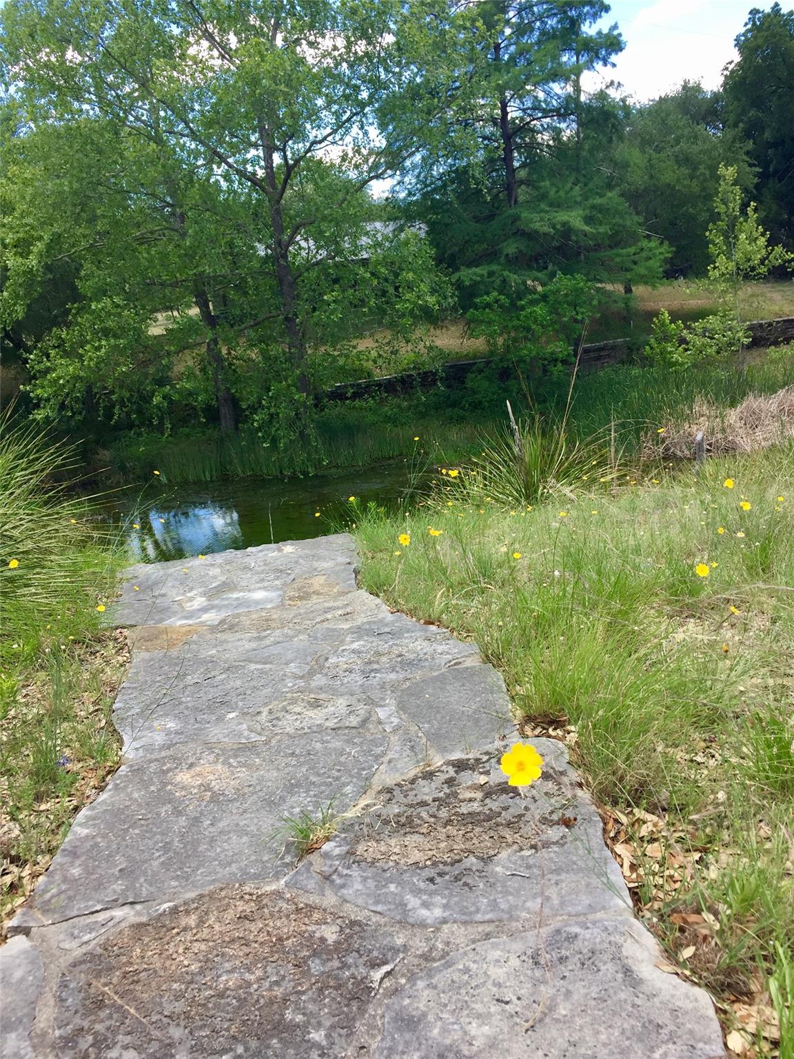 2660 Fm 3237, Wimberley, TX 78676