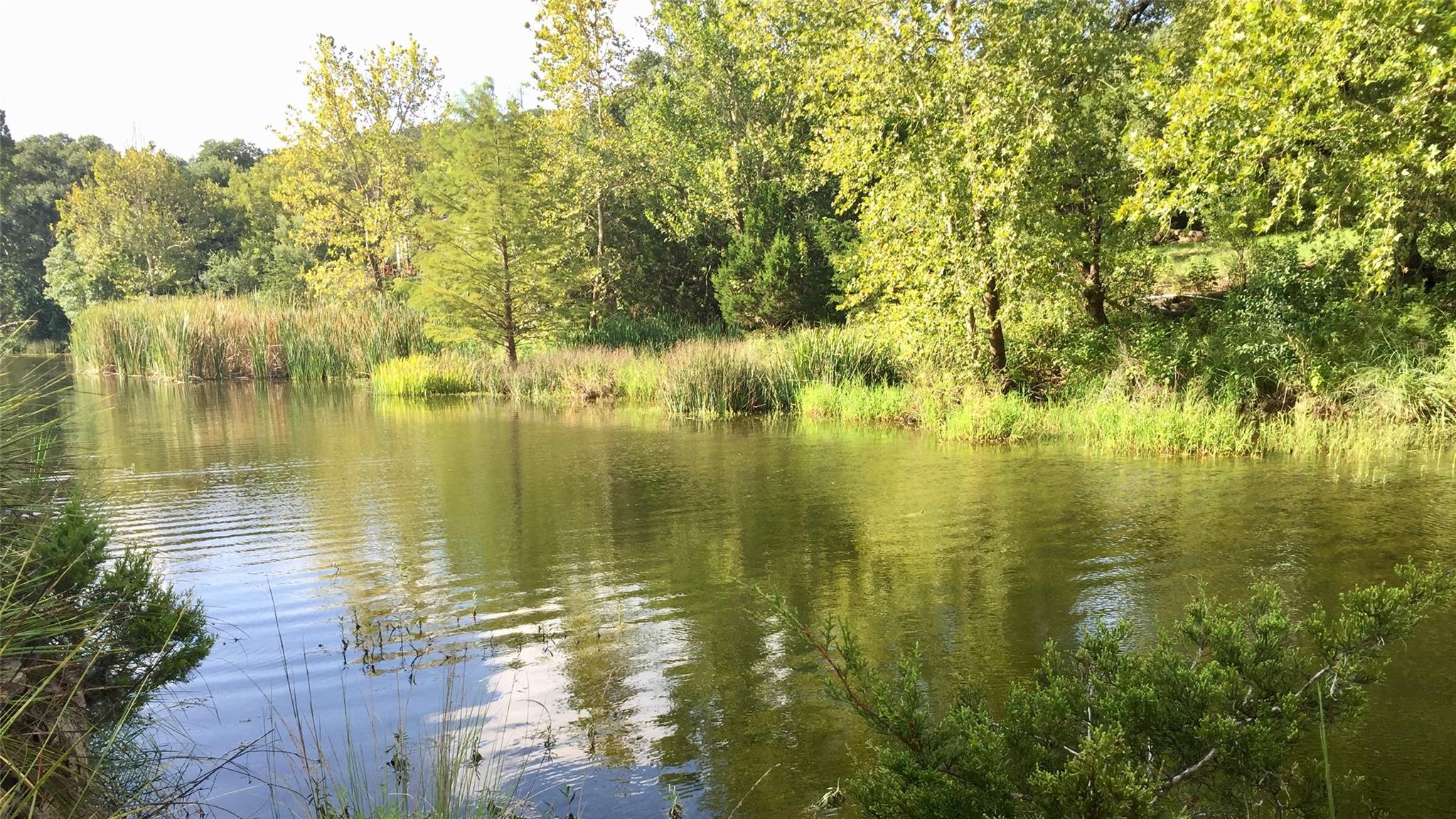 2660 Fm 3237, Wimberley, TX 78676