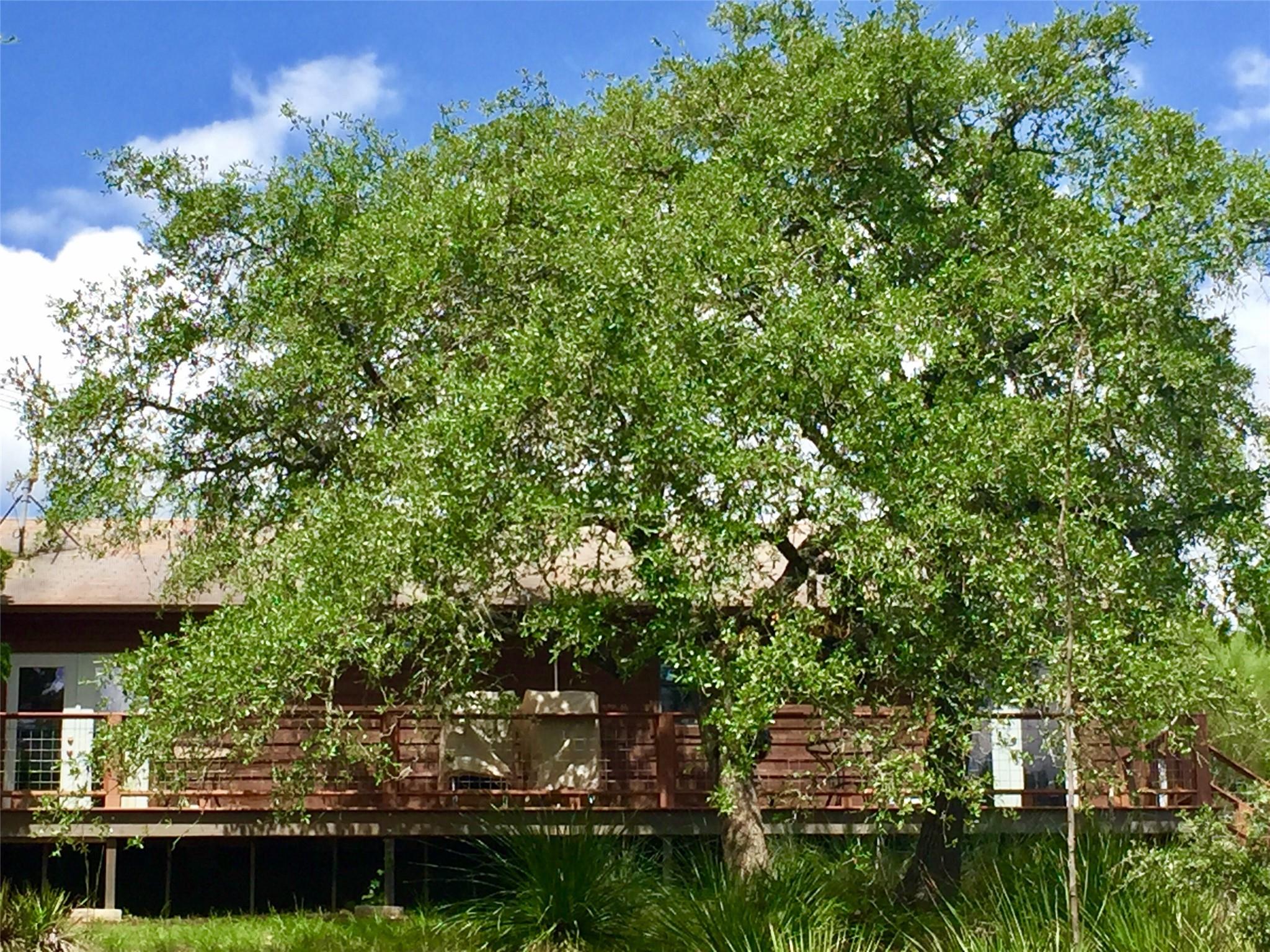 2660 Fm 3237, Wimberley, TX 78676