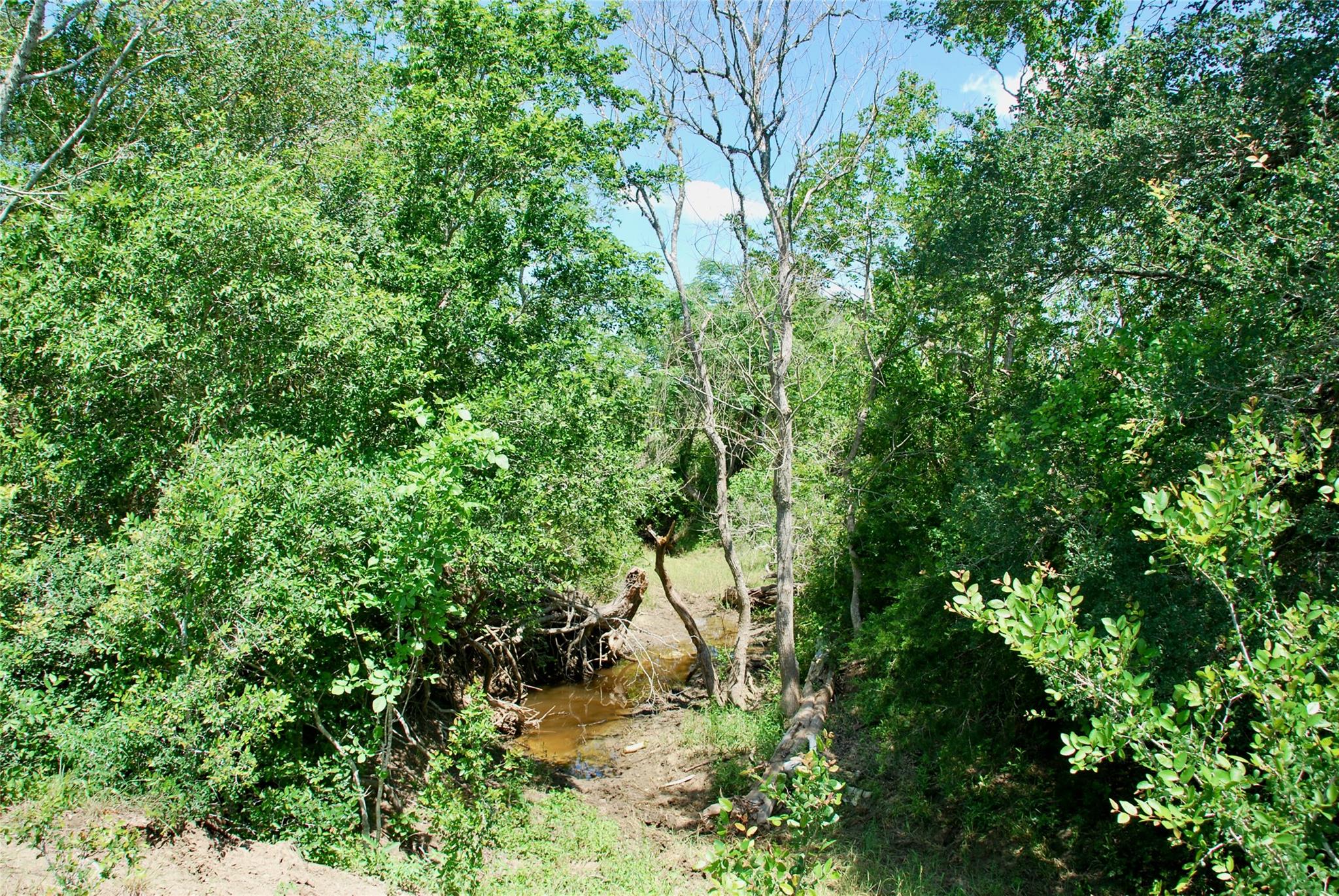 1070 Muehr Rd, Weimar, TX 78962