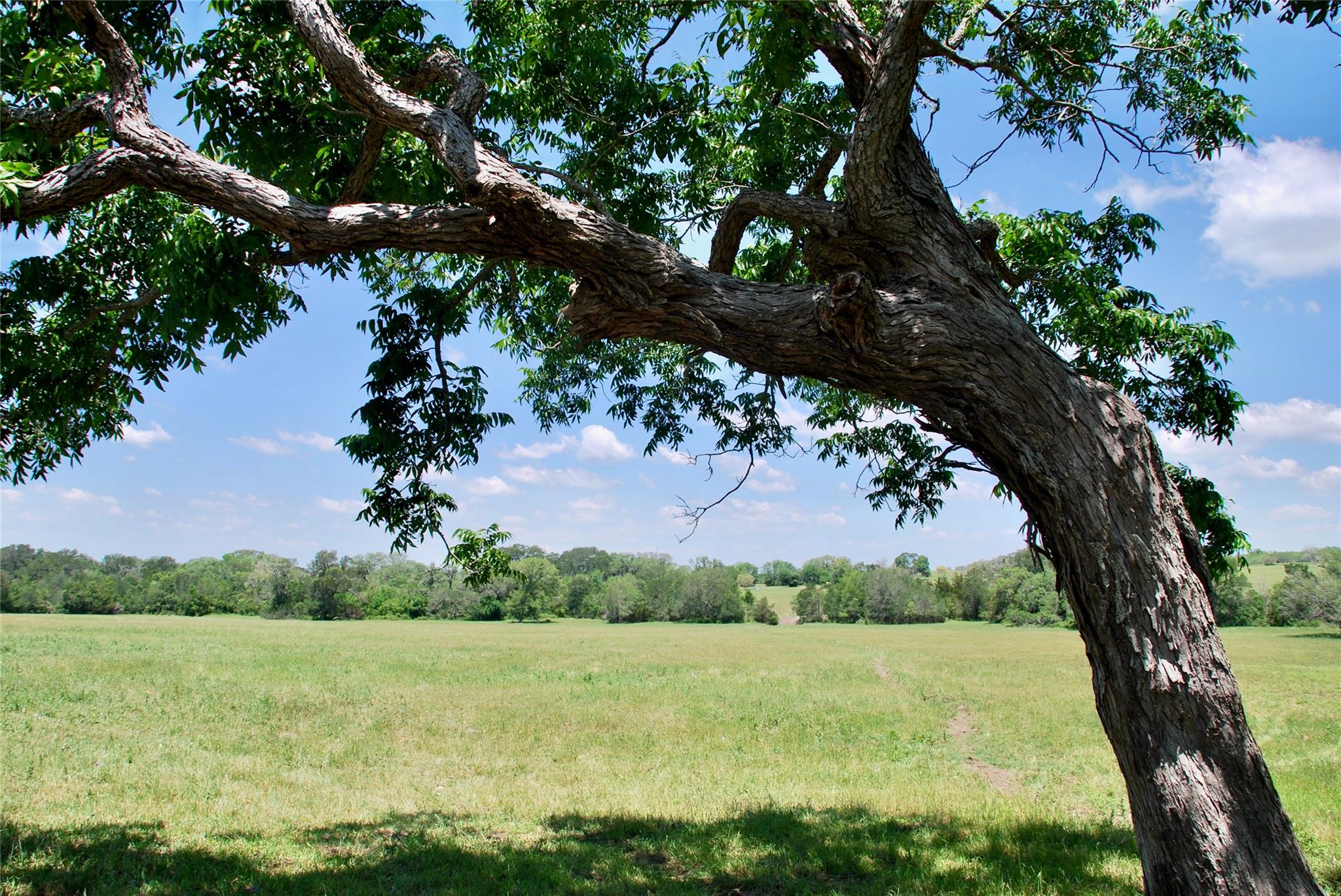 1070 Muehr Rd, Weimar, TX 78962