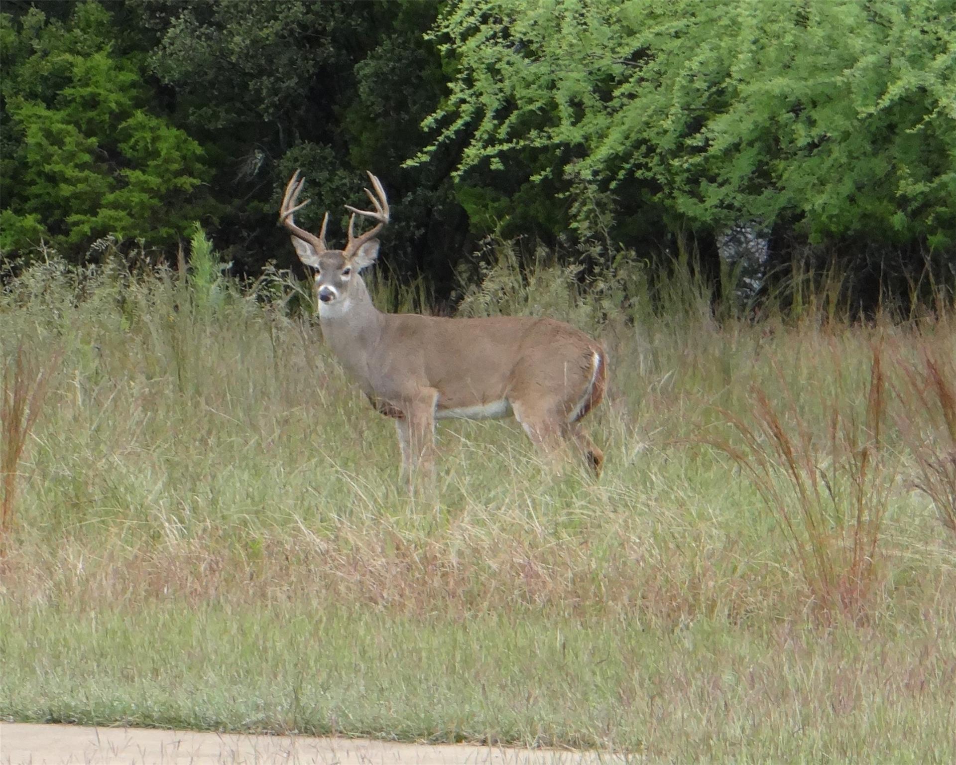 424 (Lot 234) Coventry Rd, Spicewood, TX 78669