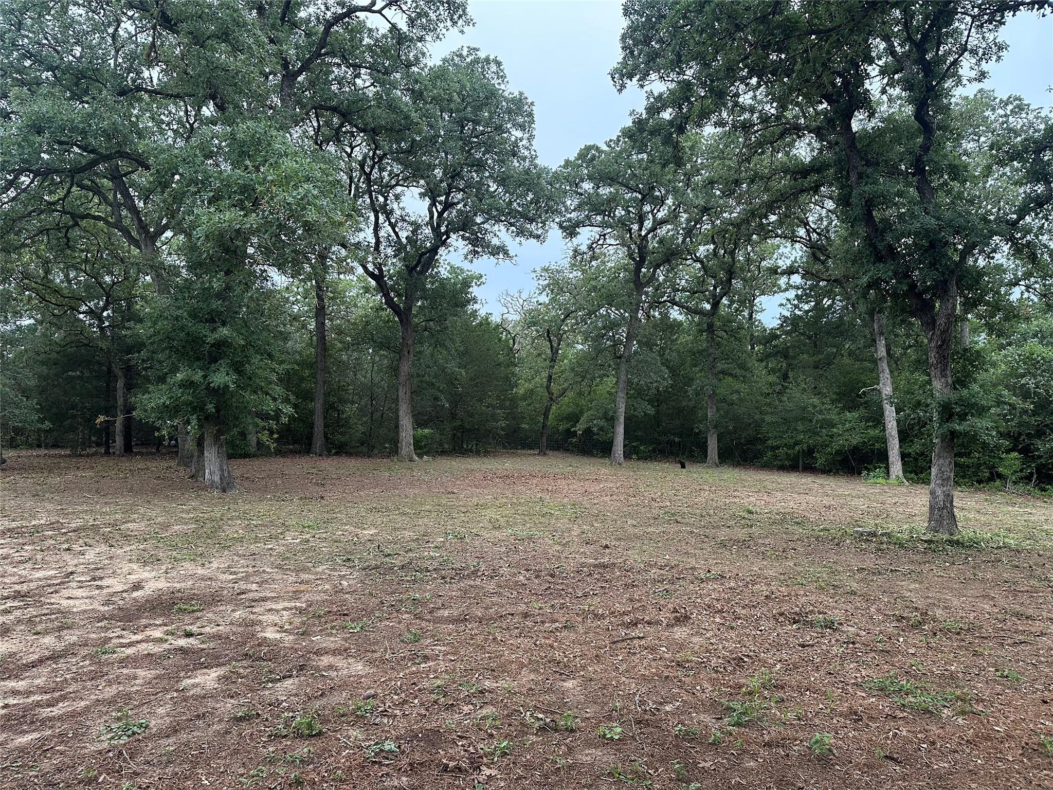 1053 E County Road F, Lexington, TX 78947