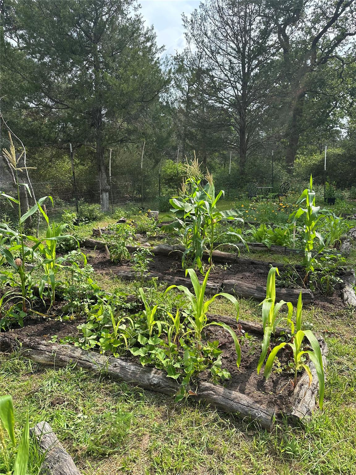 1053 E County Road F, Lexington, TX 78947