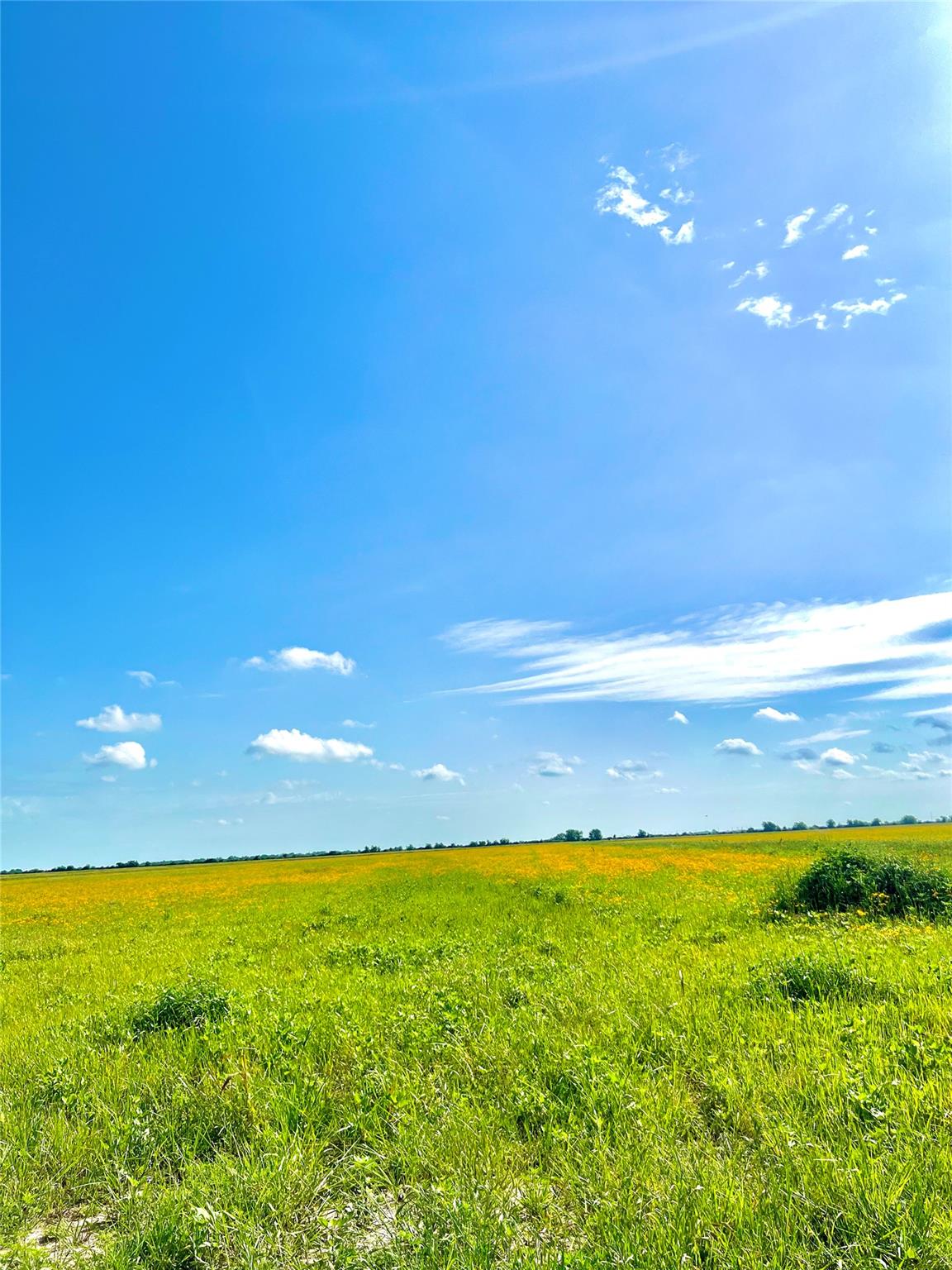 TBD Tract 4 Beal Rd, Eagle Lake, TX 77434
