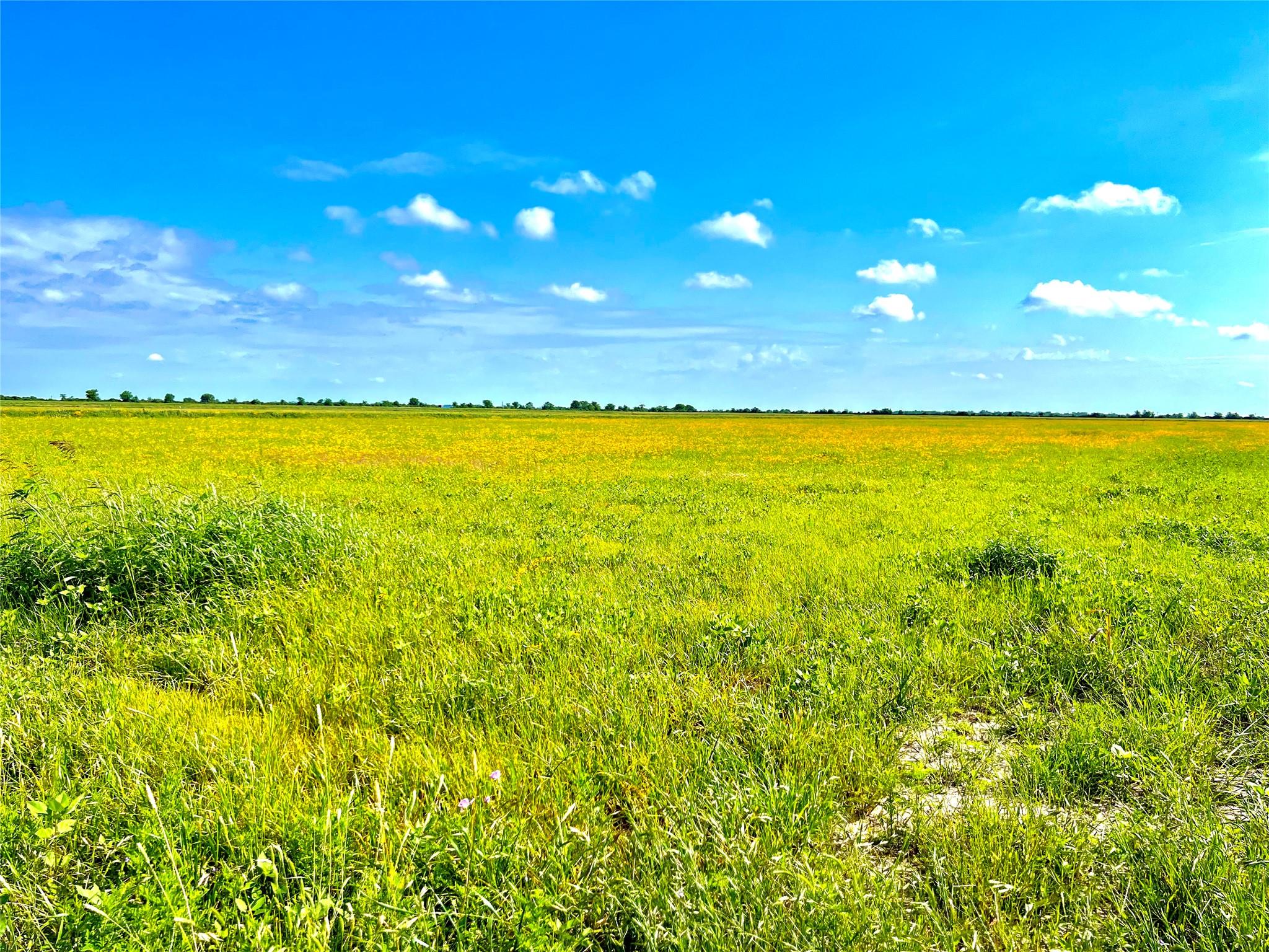 TBD Tract 4 Beal Rd, Eagle Lake, TX 77434