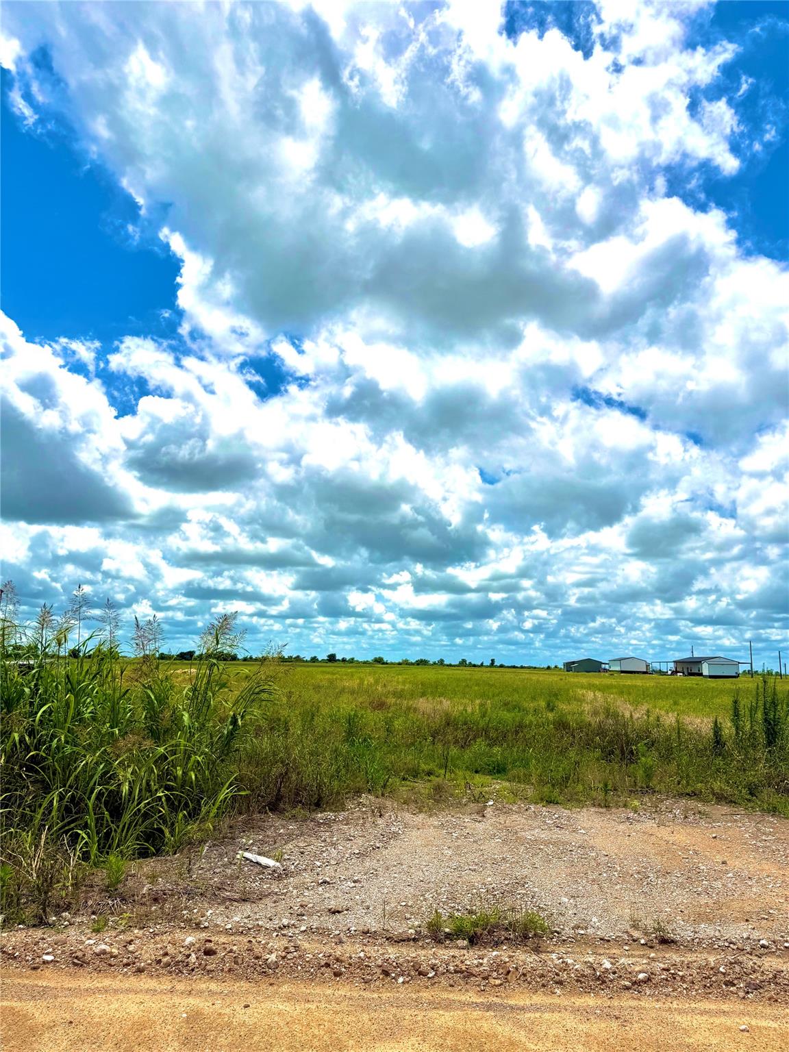 TBD Tract 4 Beal Rd, Eagle Lake, TX 77434