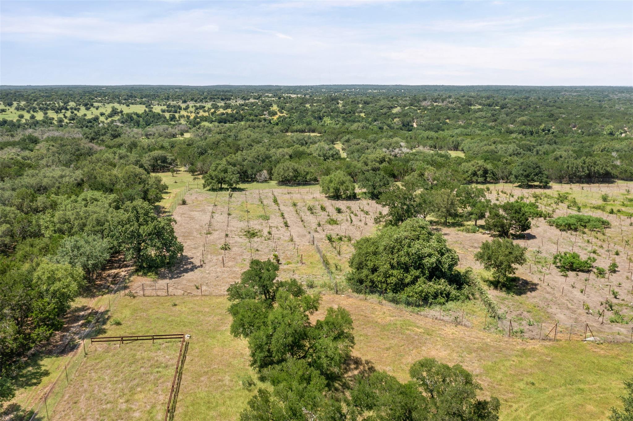 1306 Hidden Springs Dr, Salado, TX 76571