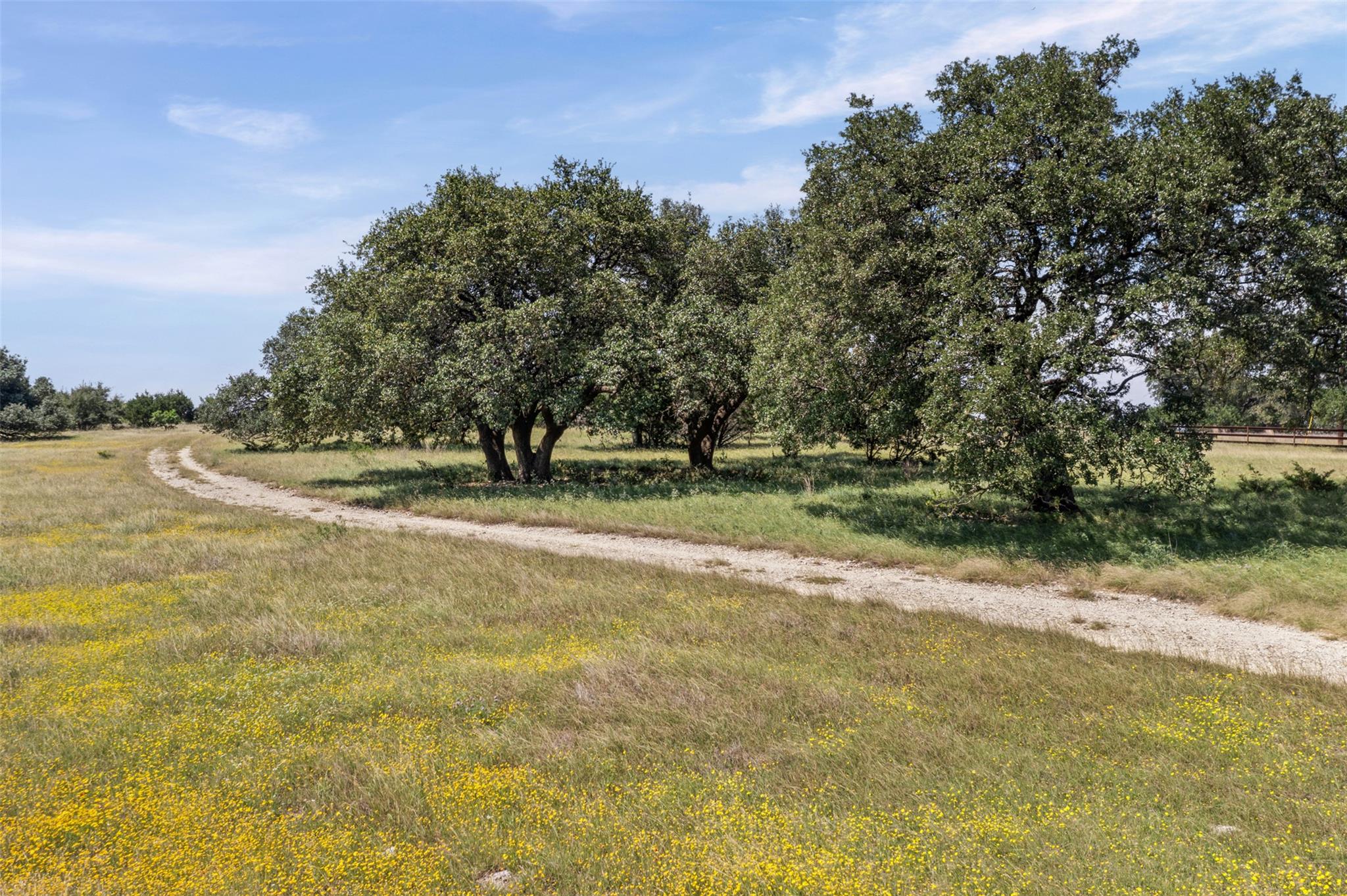 1306 Hidden Springs Dr, Salado, TX 76571