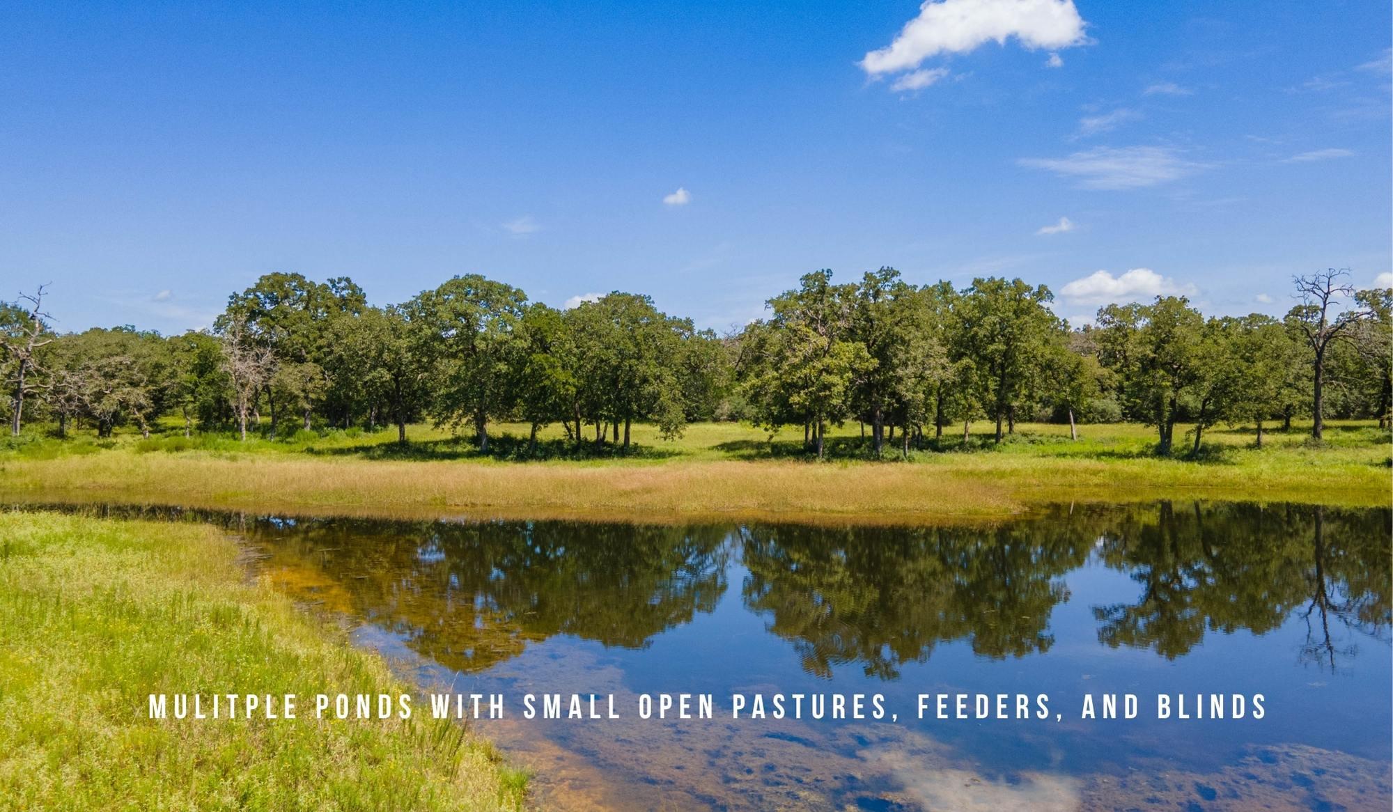 TBD County Road 405 (+/- 839 acres), Lexington, TX 78947