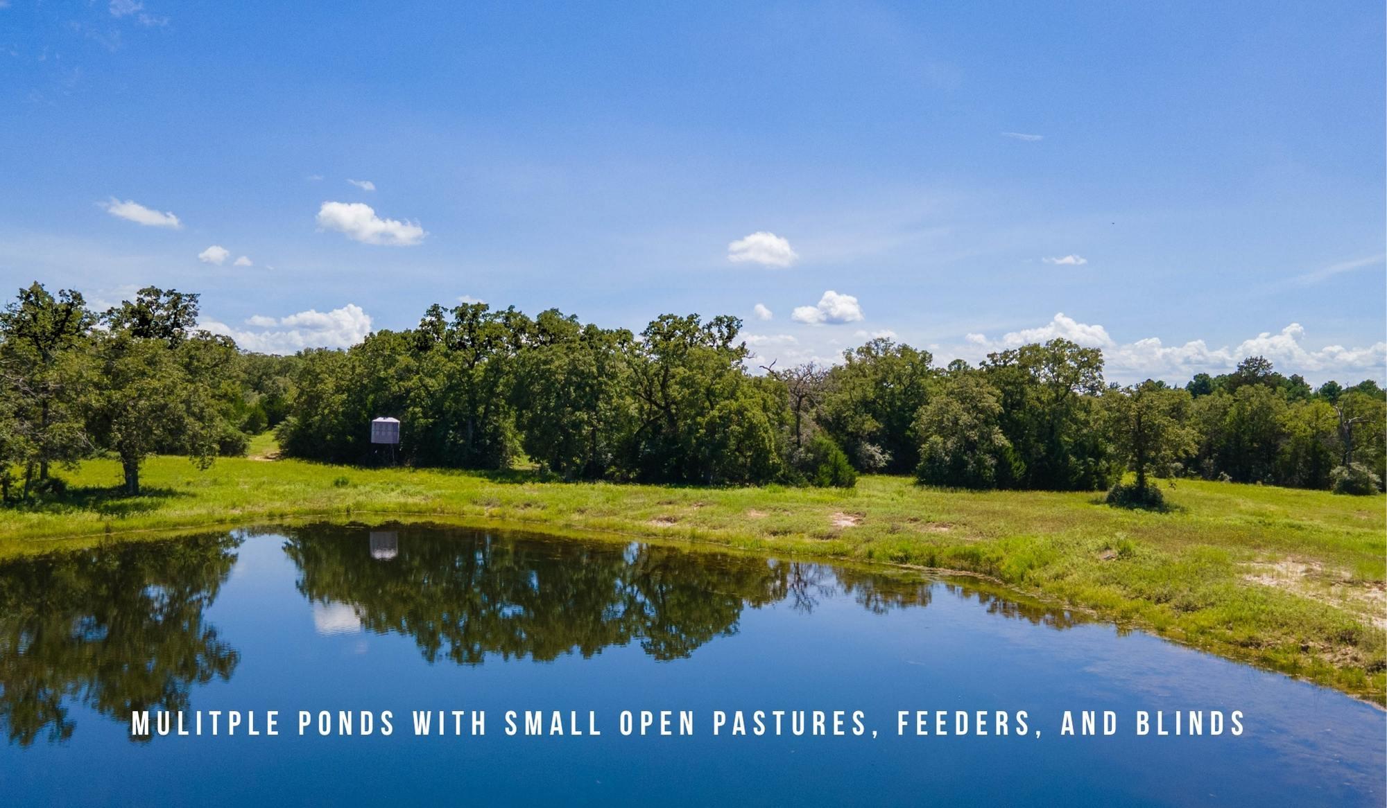 TBD County Road 405 (+/- 839 acres), Lexington, TX 78947