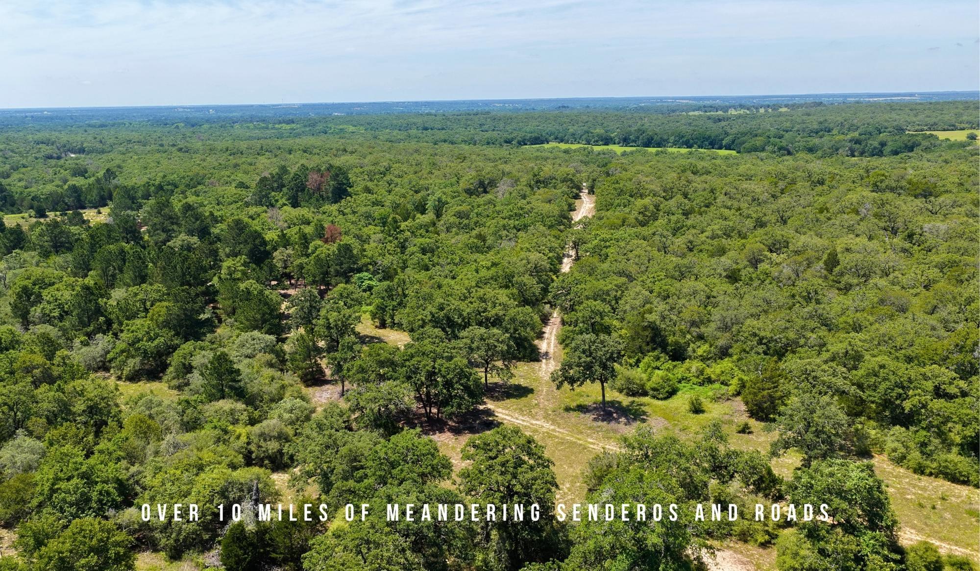 TBD County Road 405 (+/- 839 acres), Lexington, TX 78947